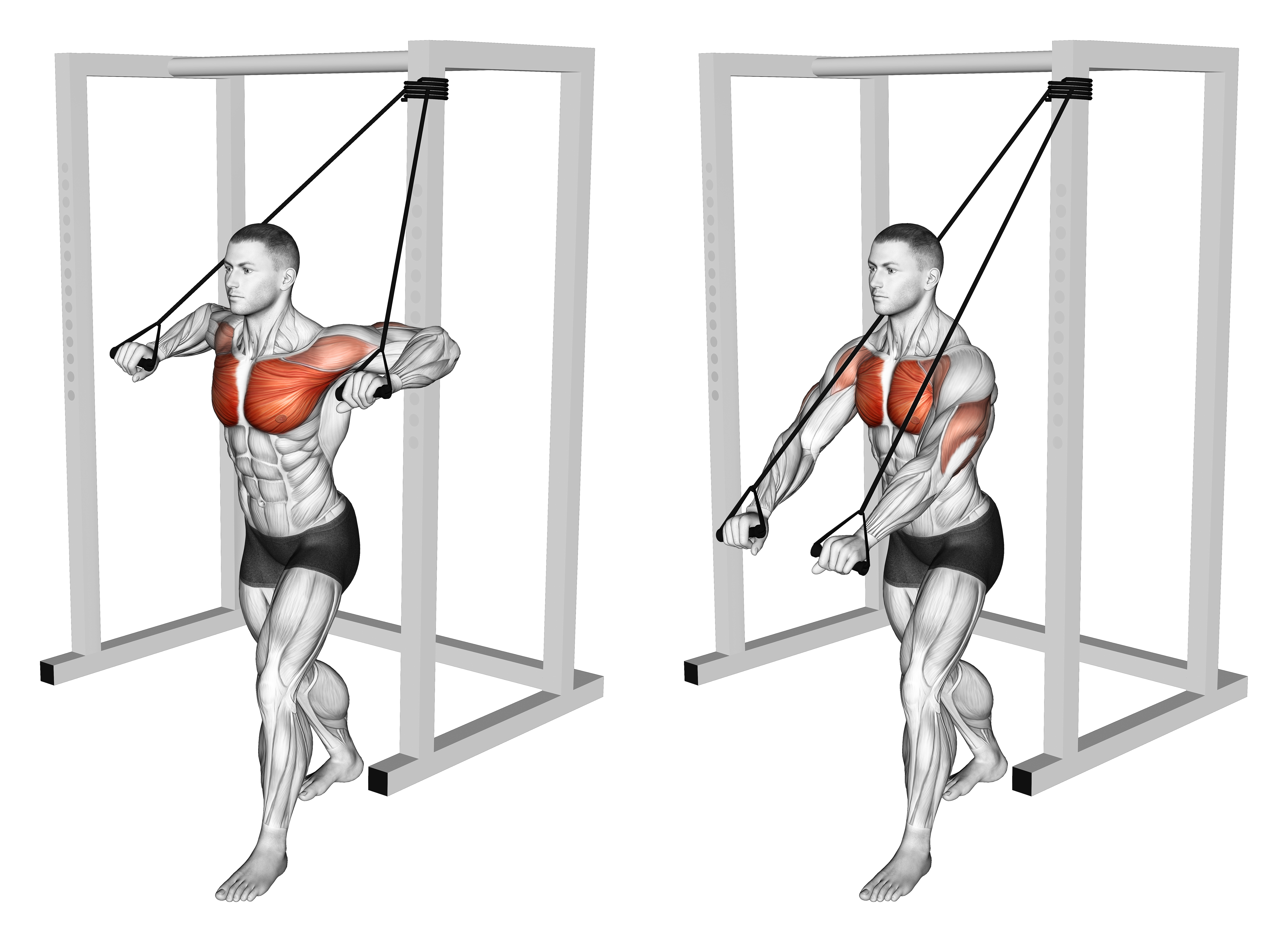 Band Low Chest Press
