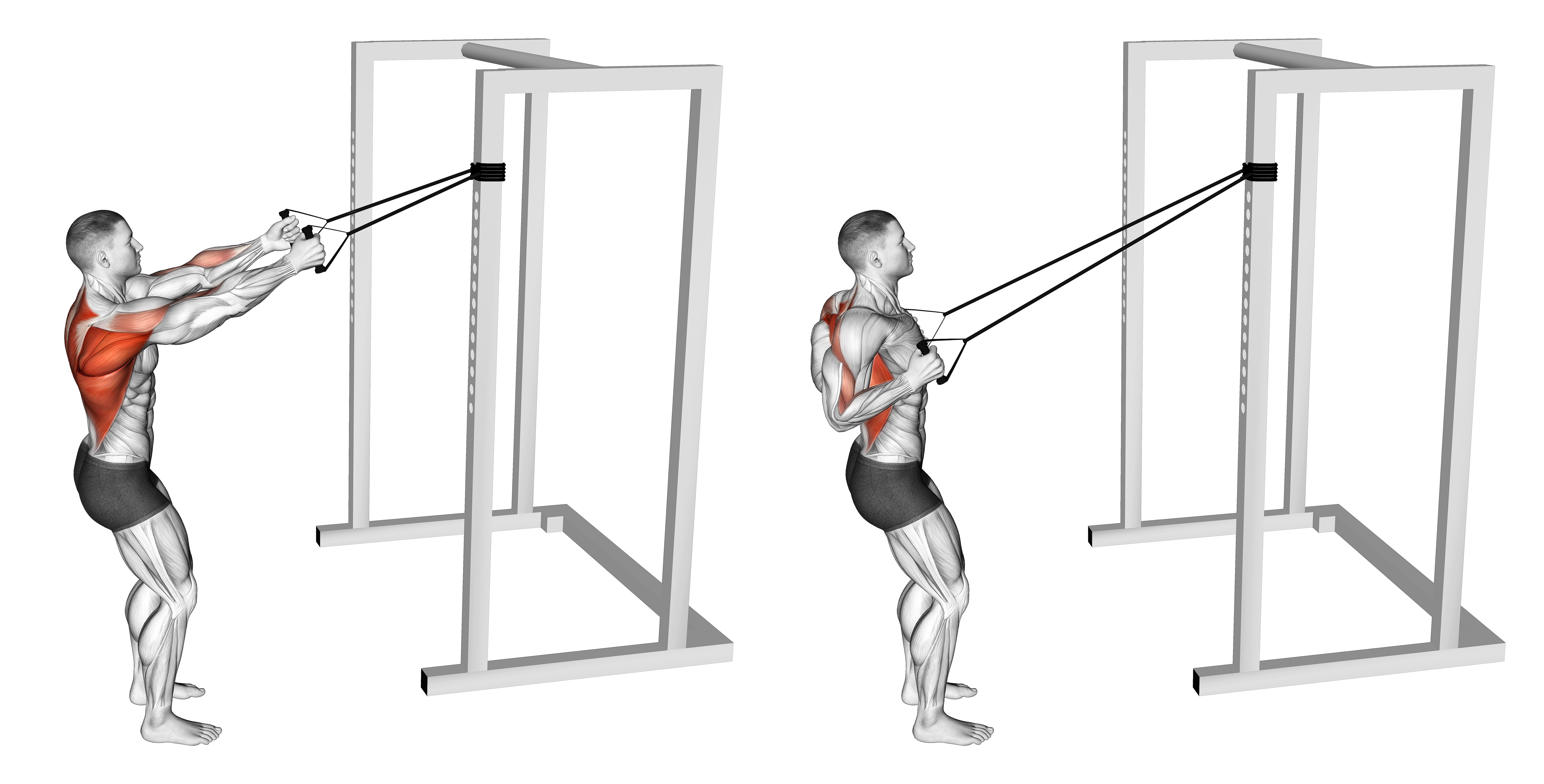 Band Narrow Grip High Row