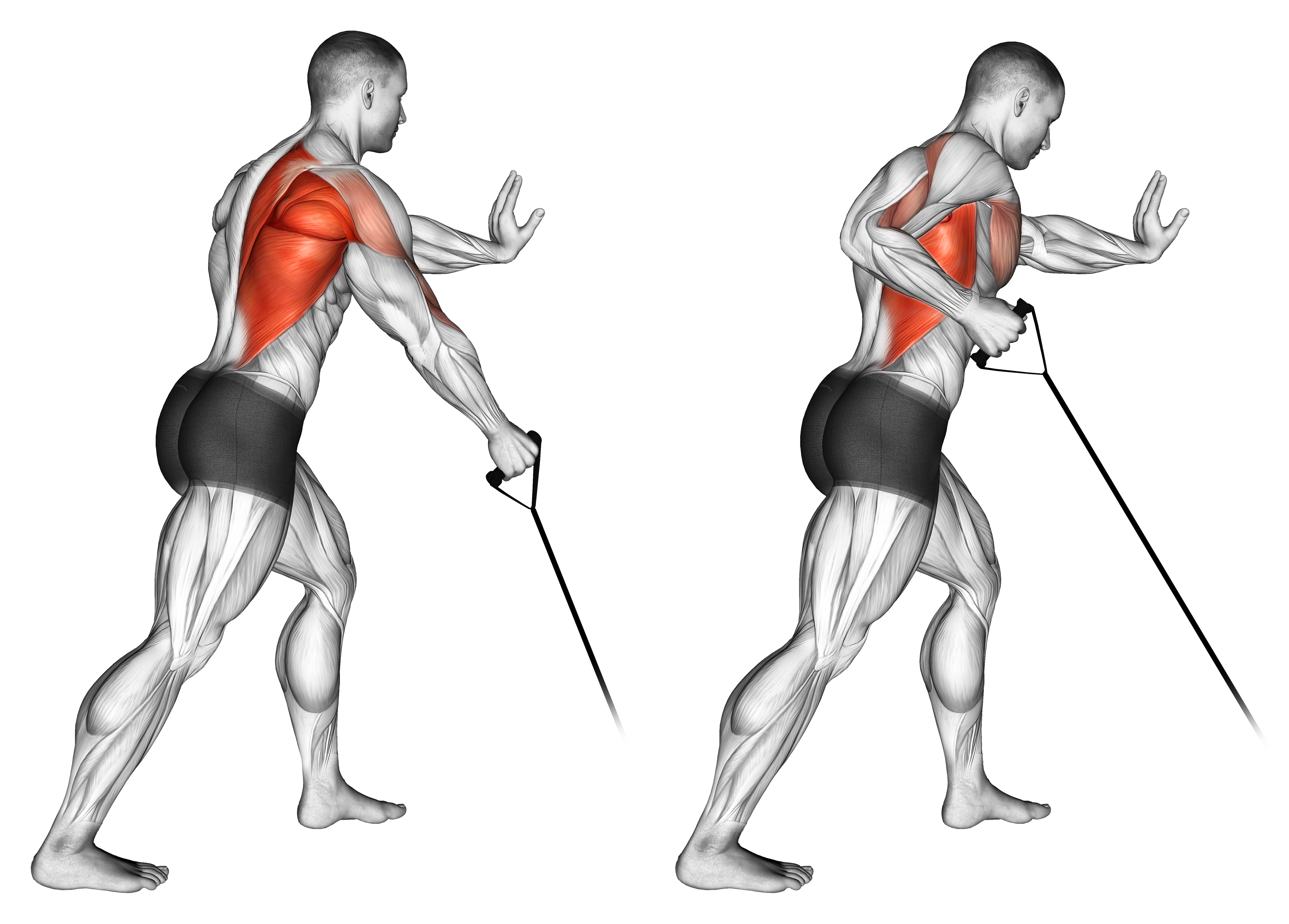 Band One Arm Standing Low Row