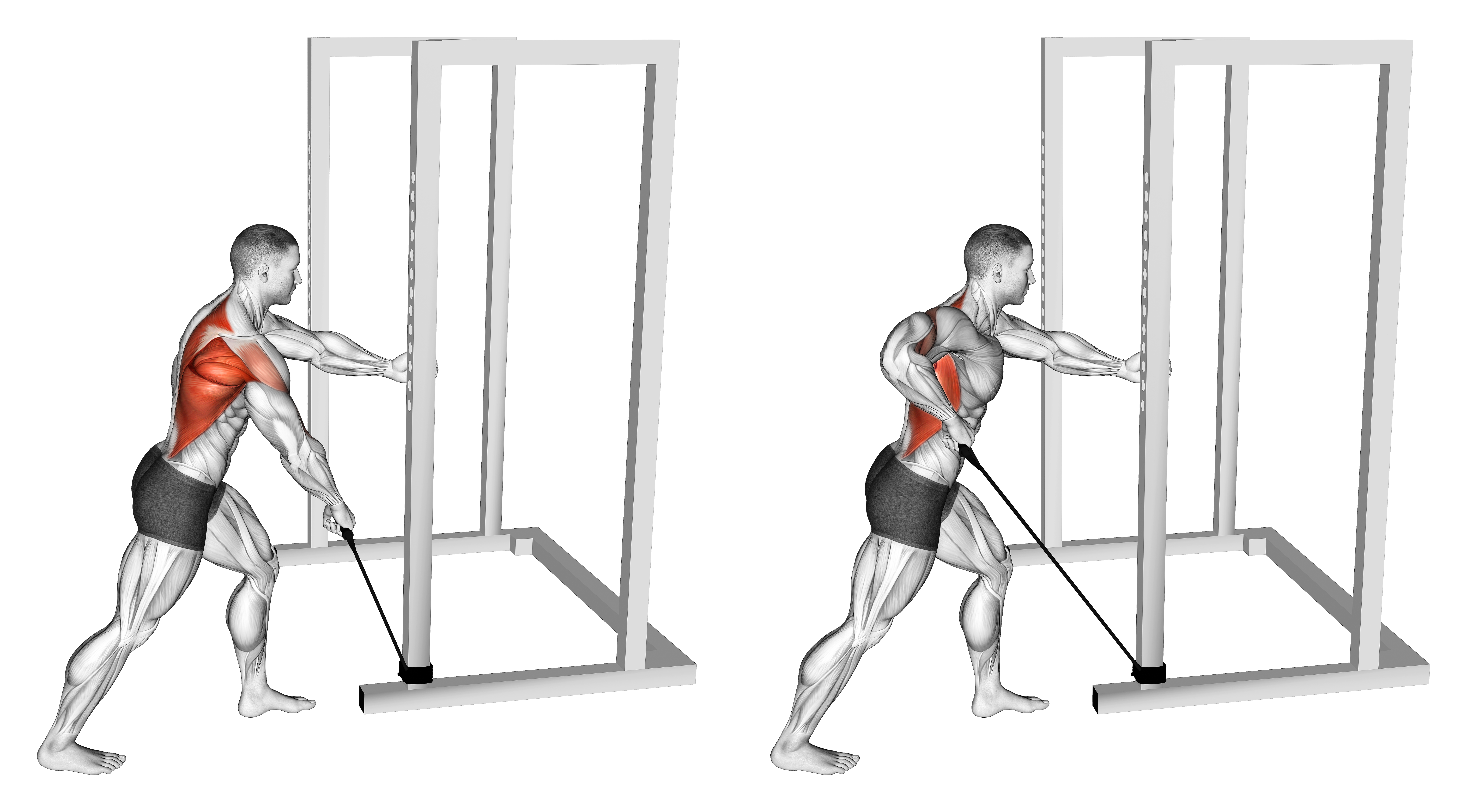 Band One Arm Standing Wide Grip Low Row