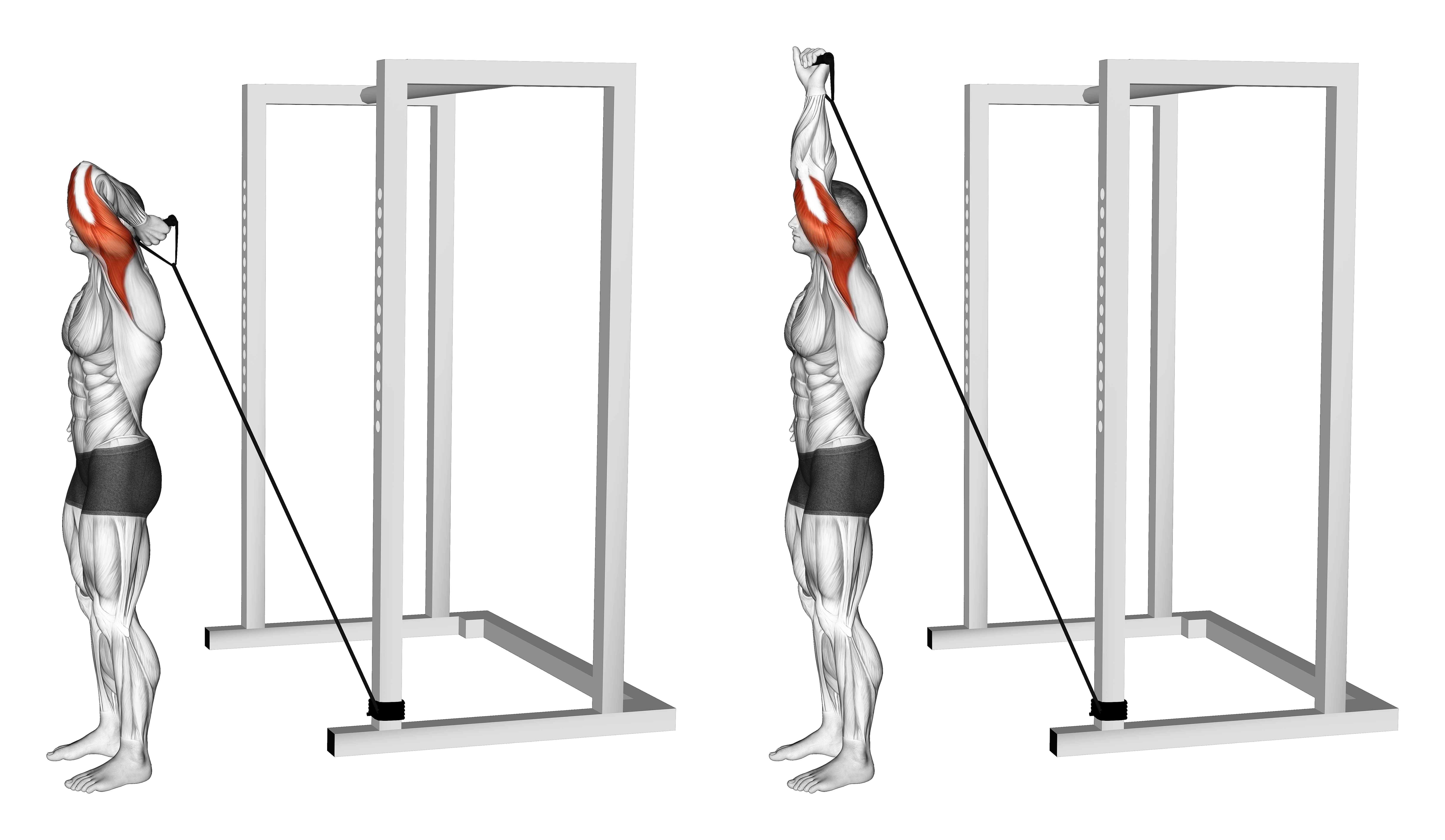 Band Overhead Single Arm Triceps Extension