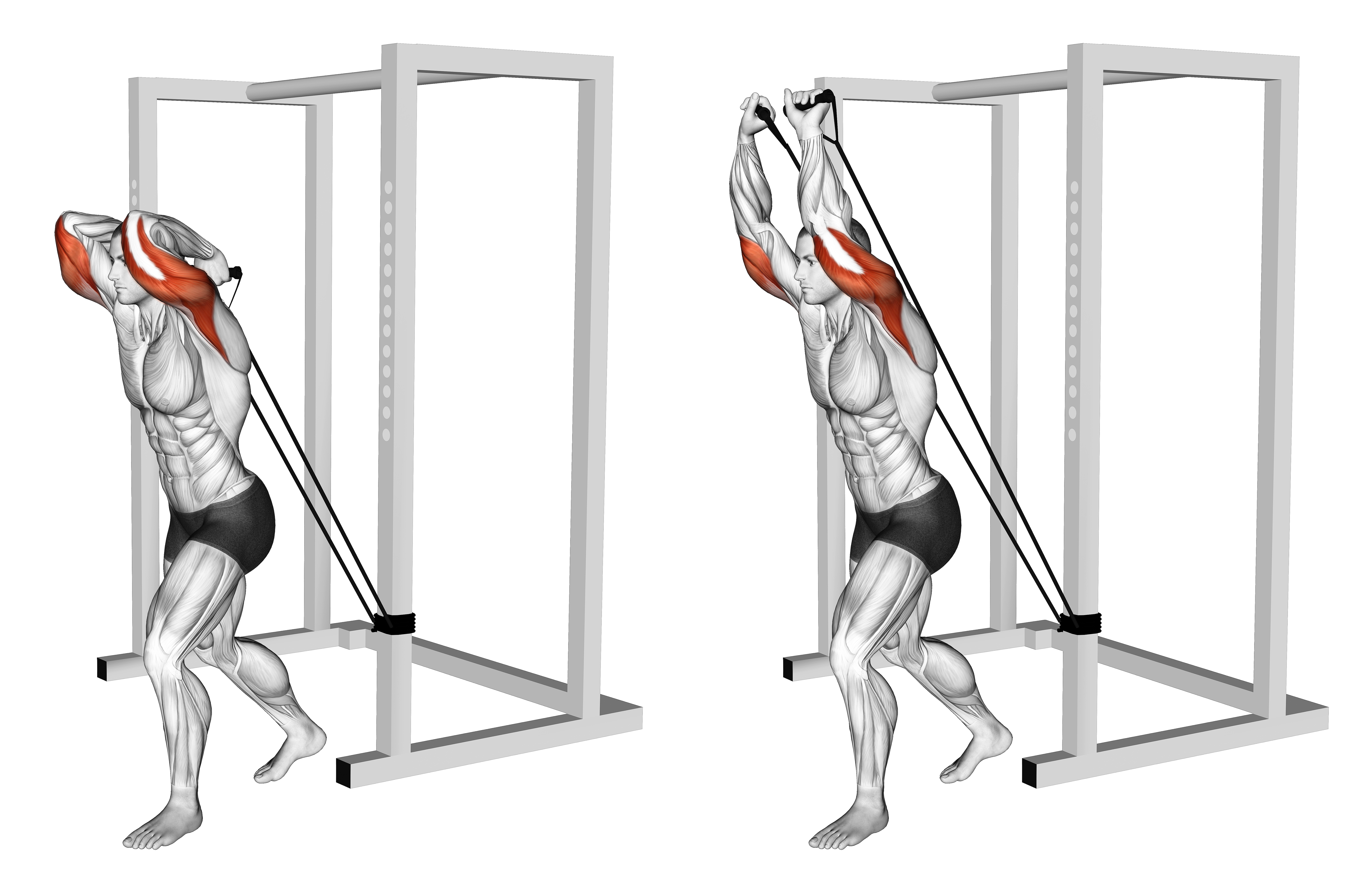 Band Overhead Triceps Extension