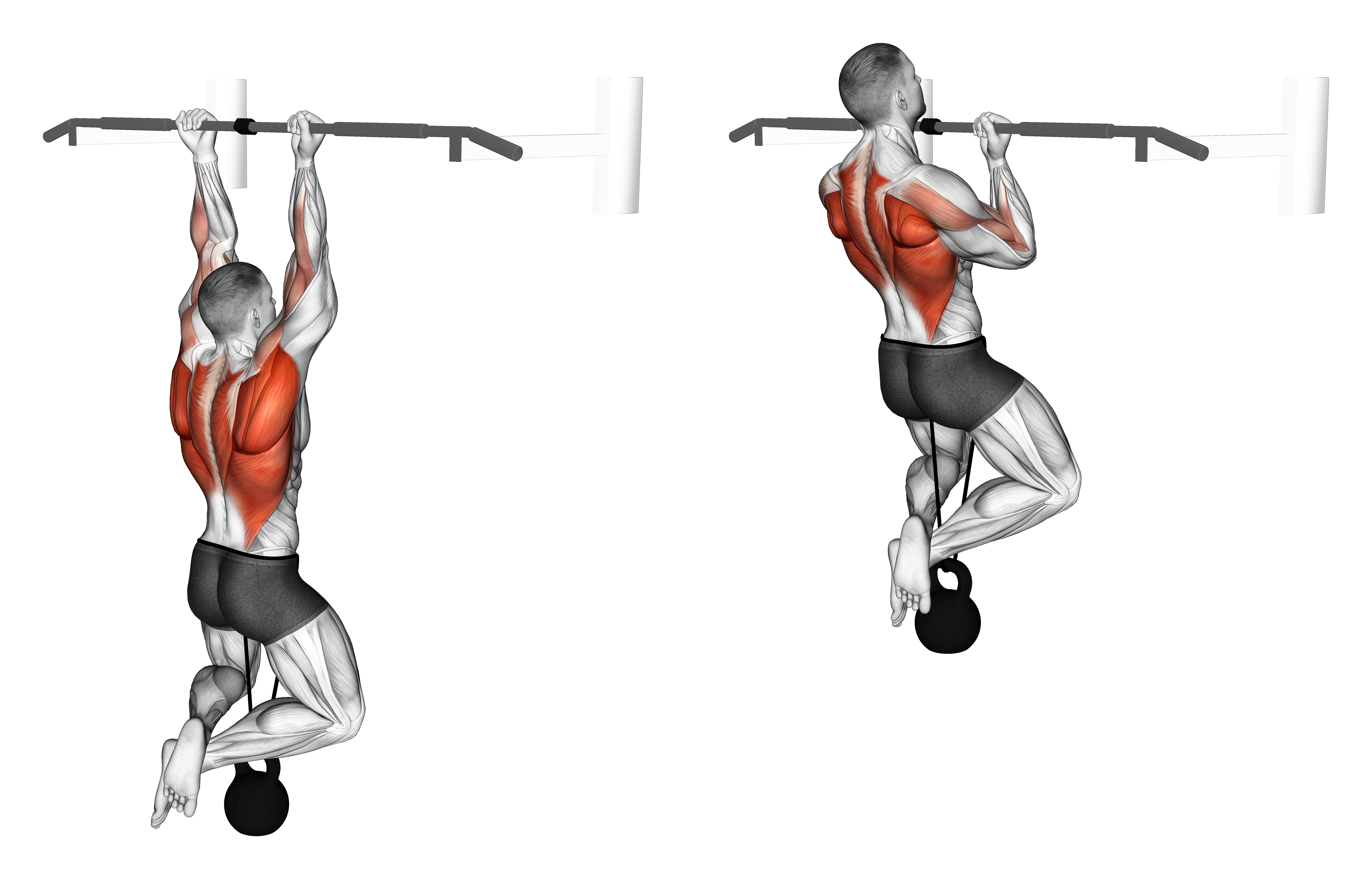 Band Resisted Chin Up