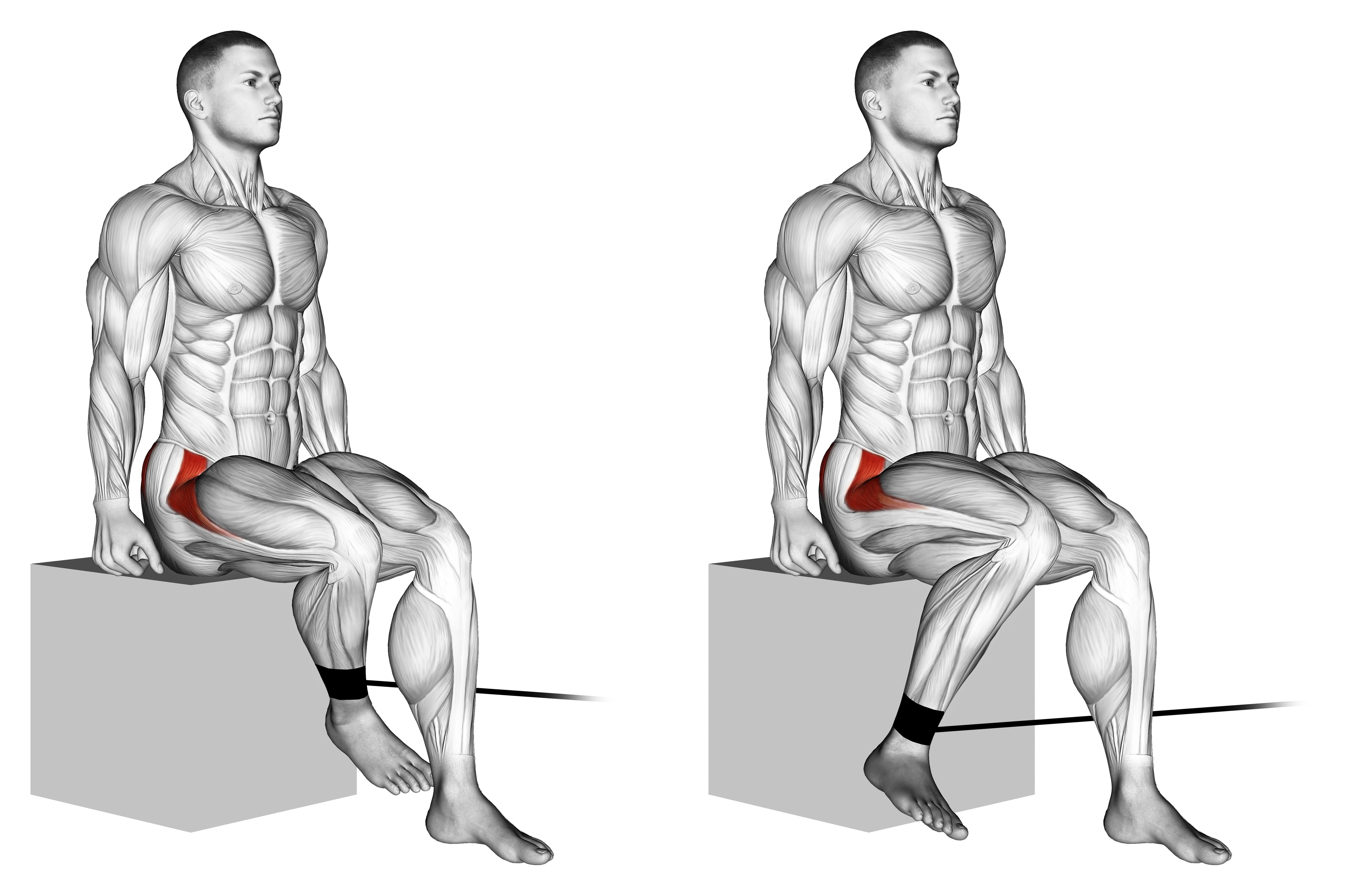 Band Seated Hip Internal Rotation