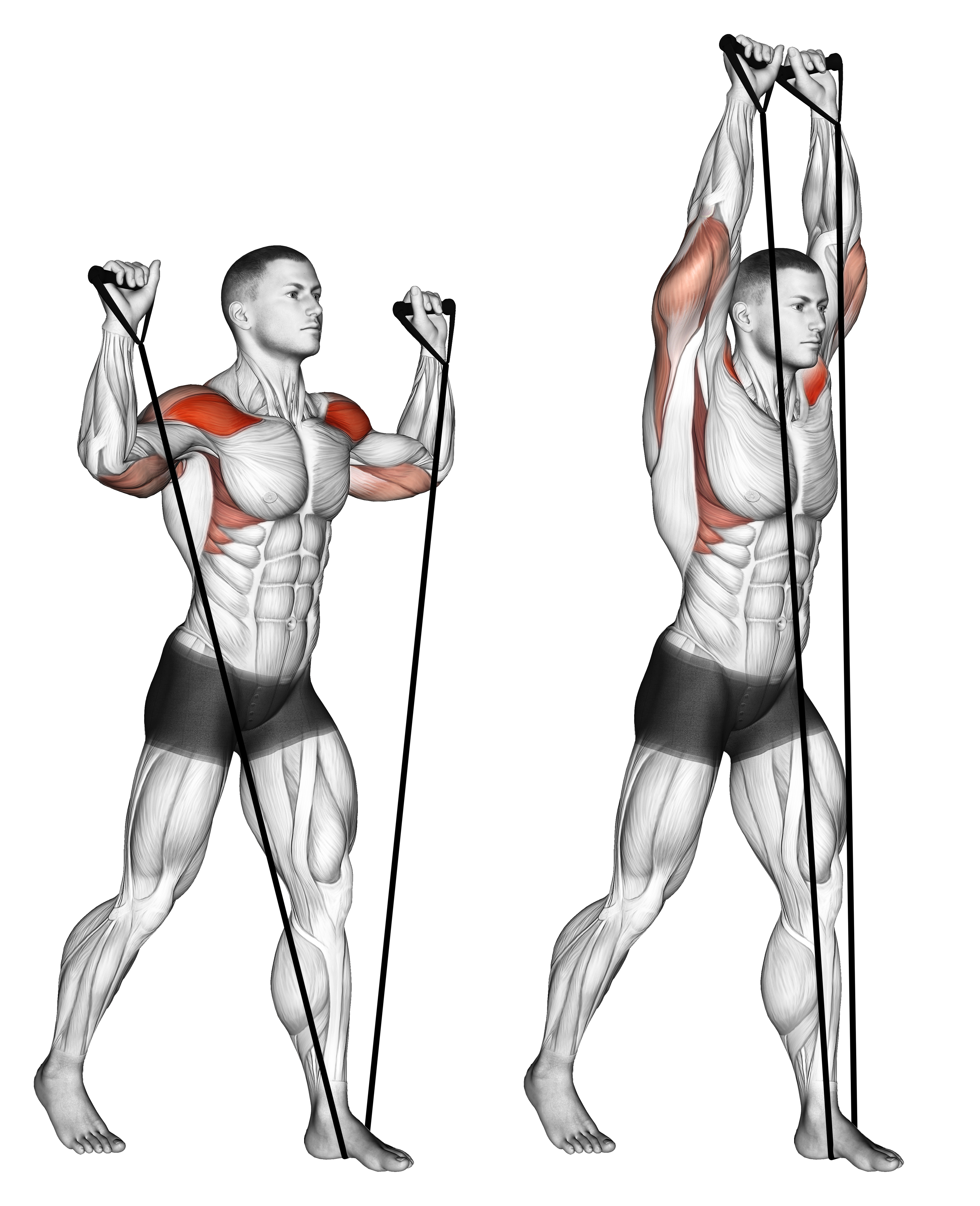 Band Shoulder Press