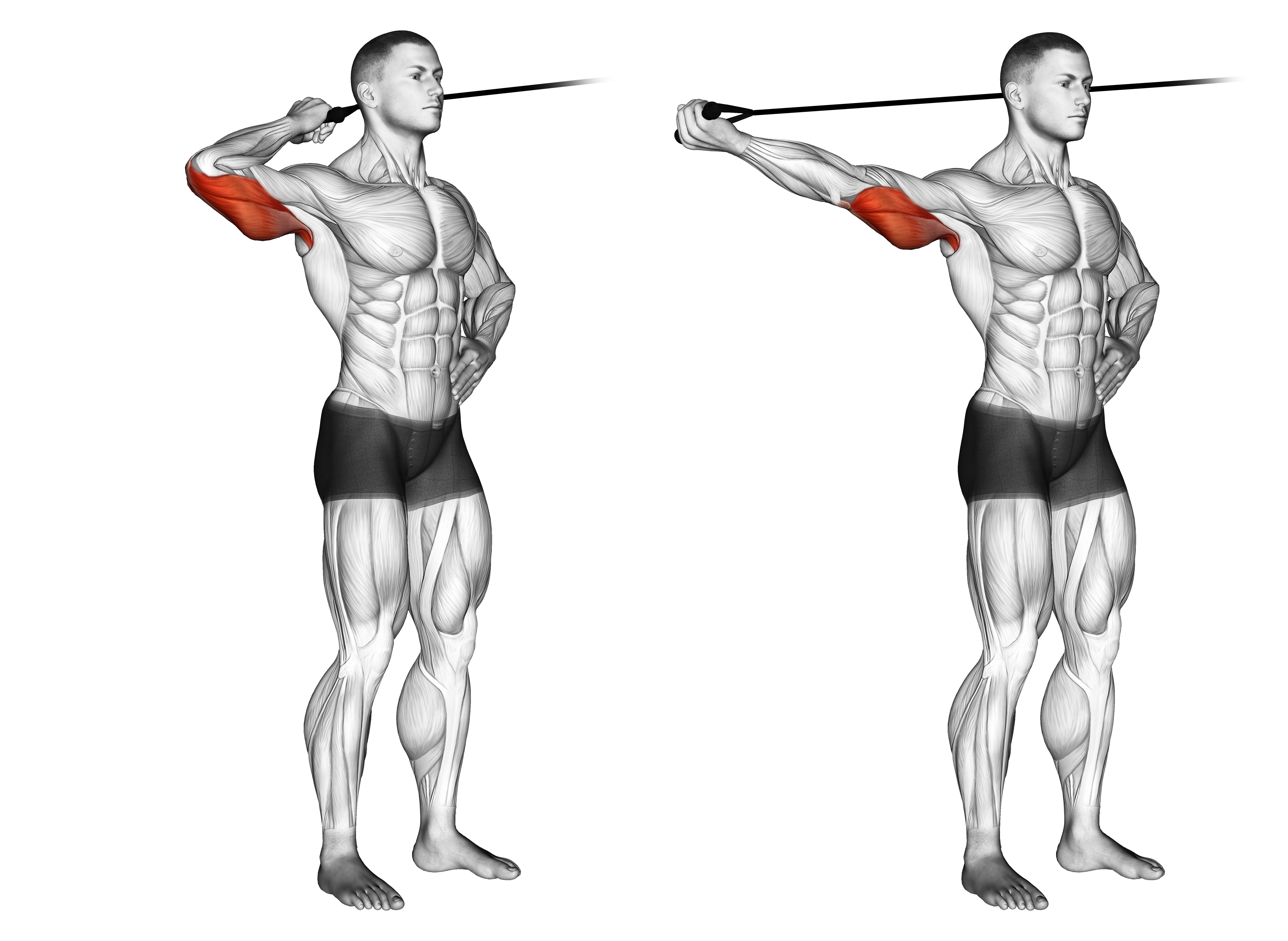 Band Side Triceps Extension
