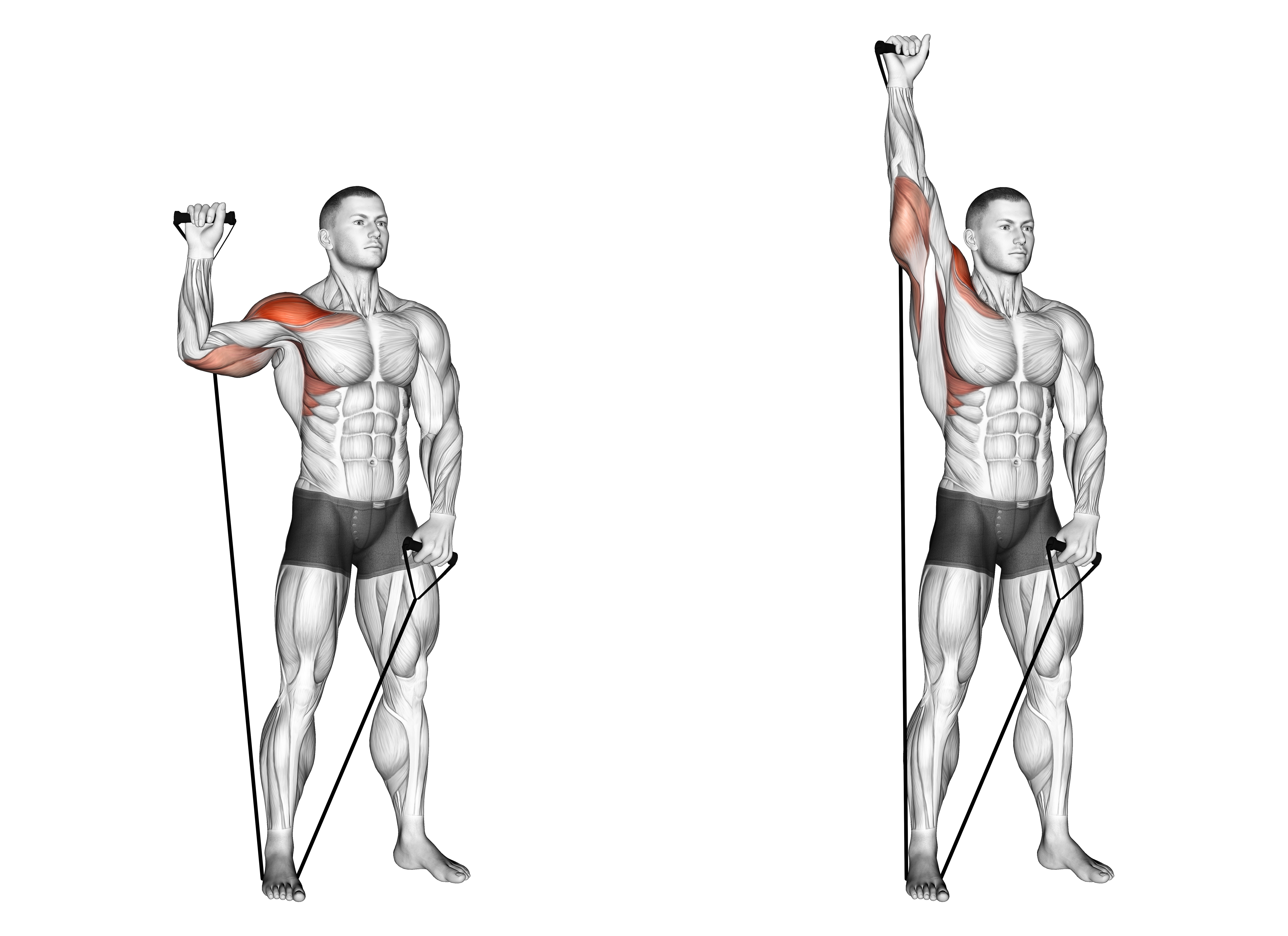 Band Single Arm Shoulder Press