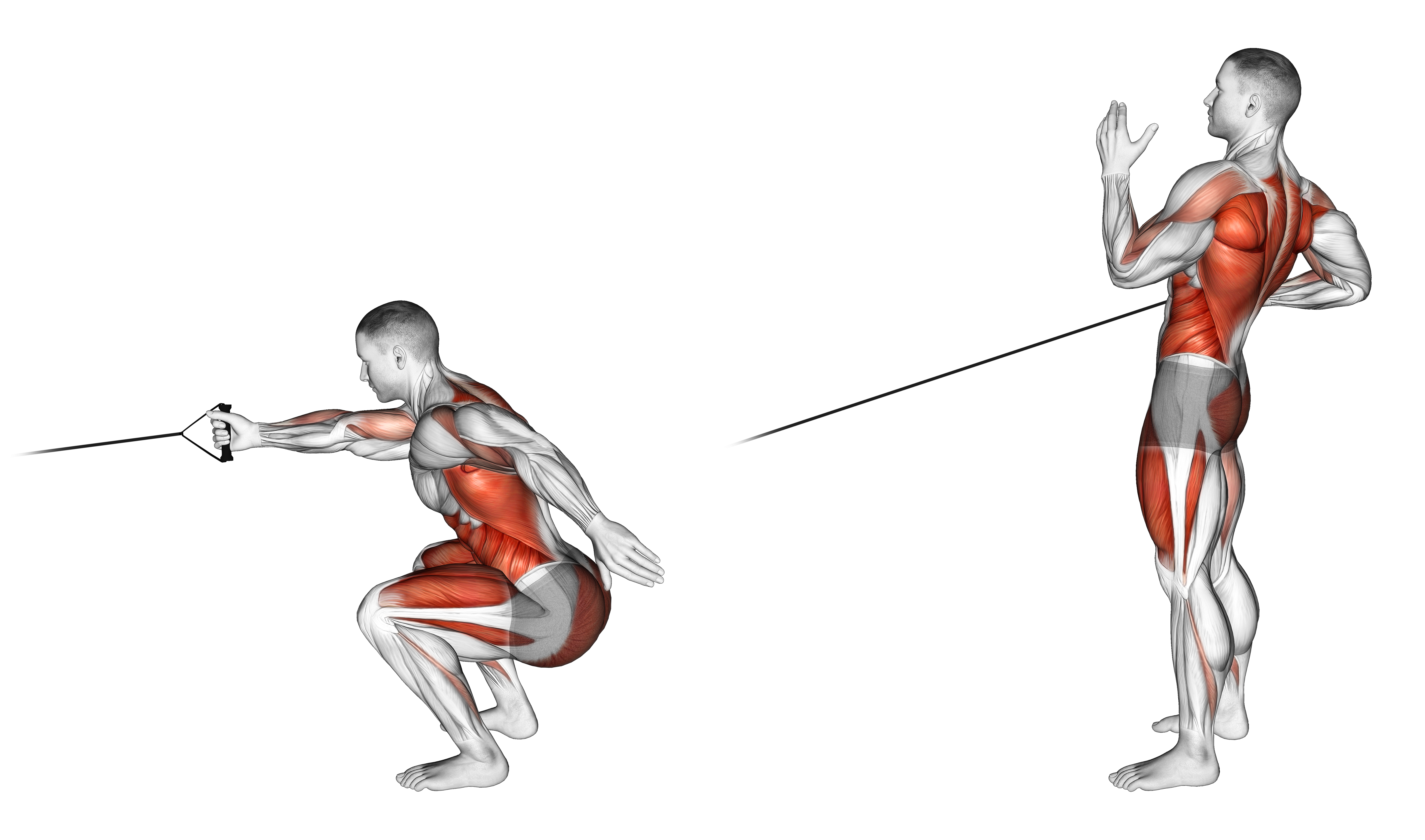 Band Squat With Single Arm Row