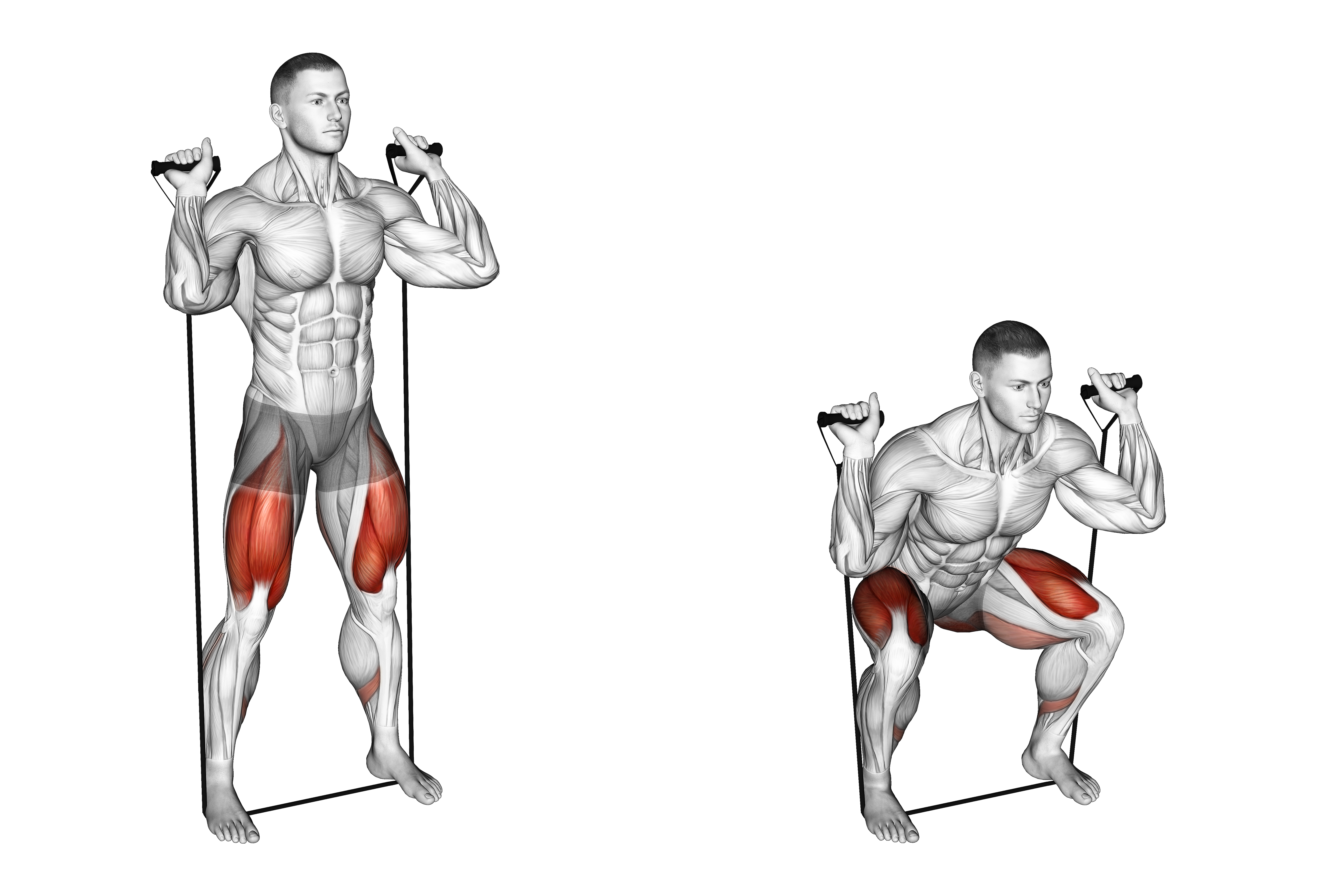 Band Squat