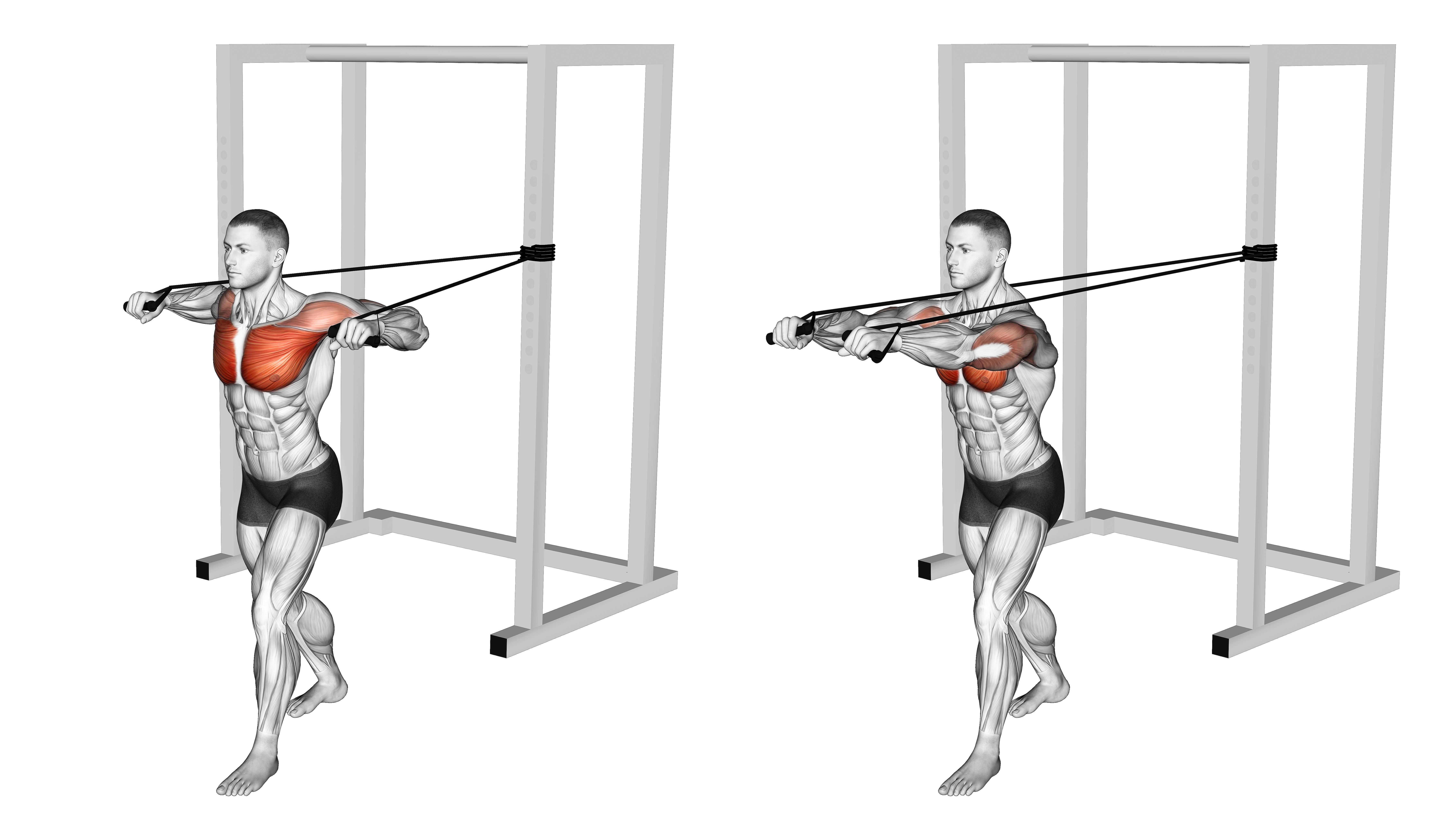 Band Standing Chest Press