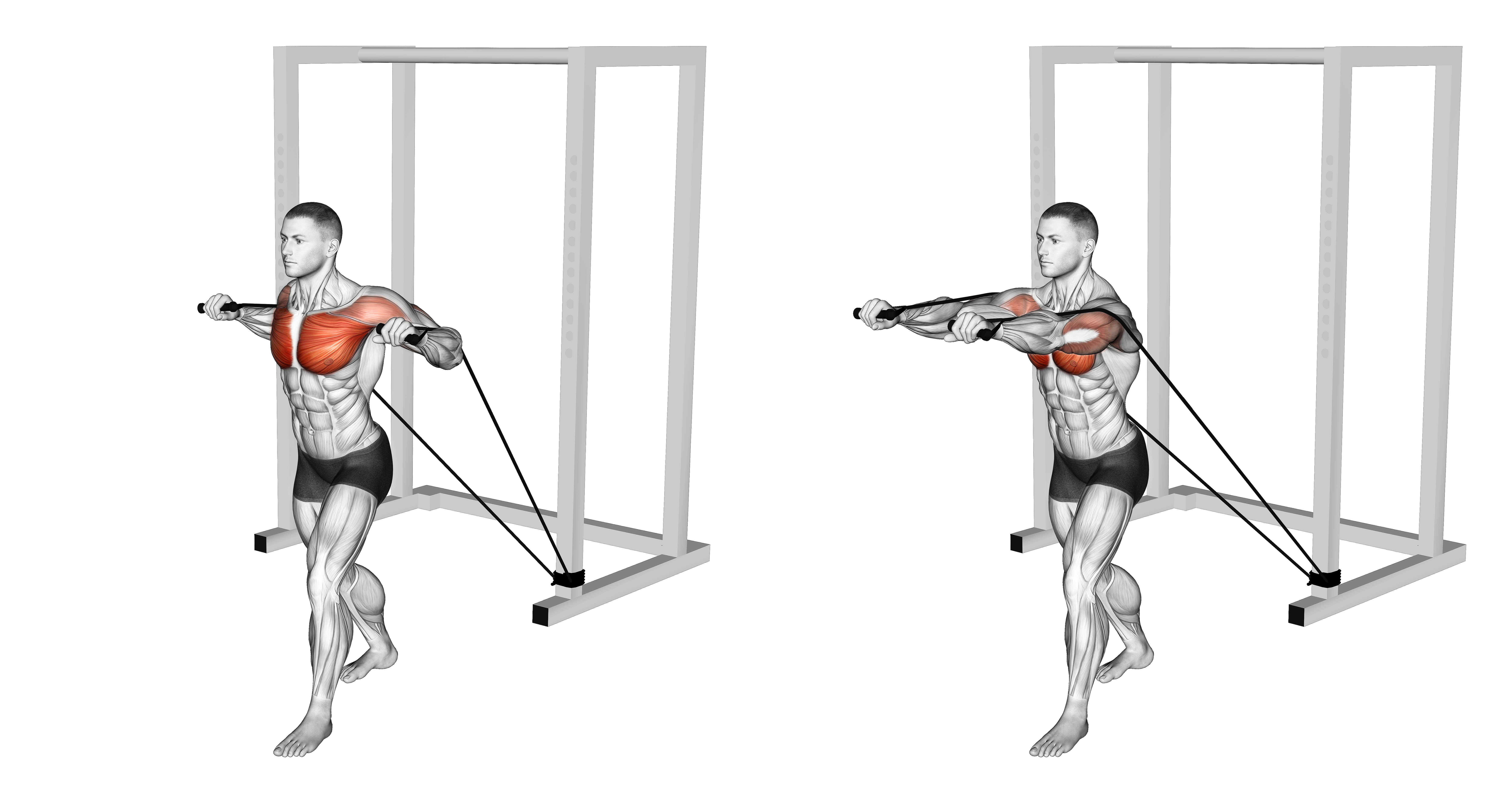 Band Standing Chest Press (version 2)