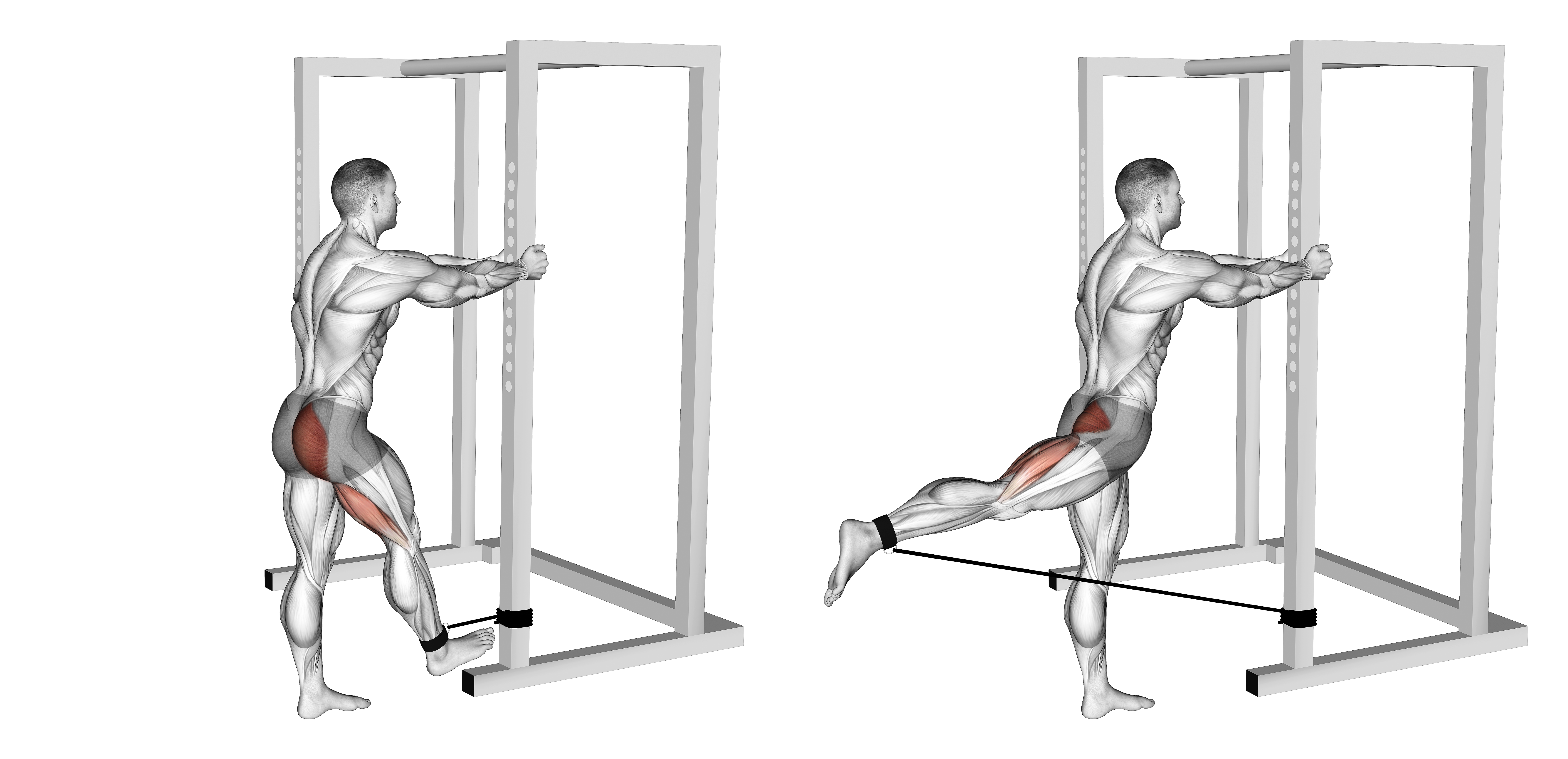 Band Standing Hip Extension