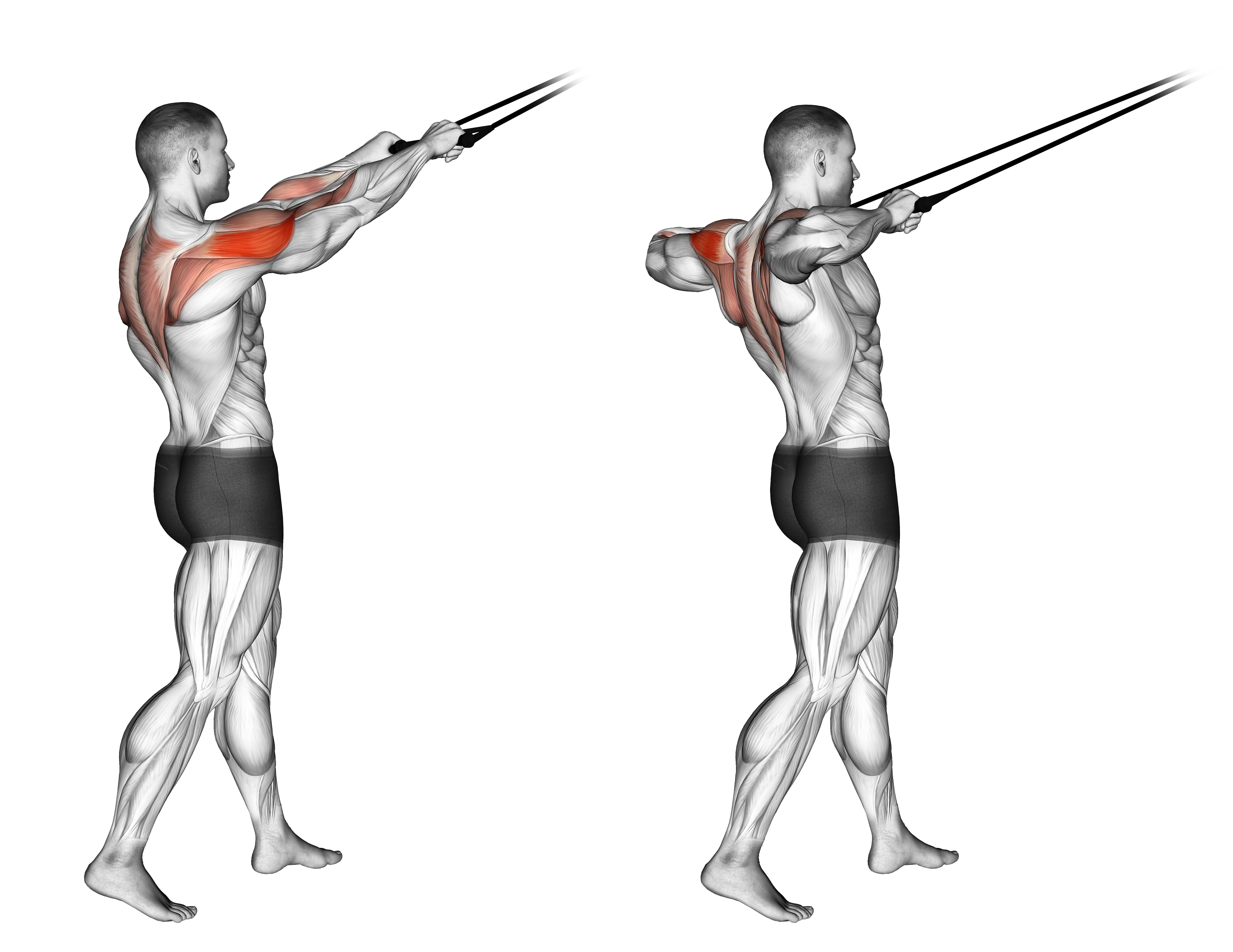 Band Standing Rear Delt Row