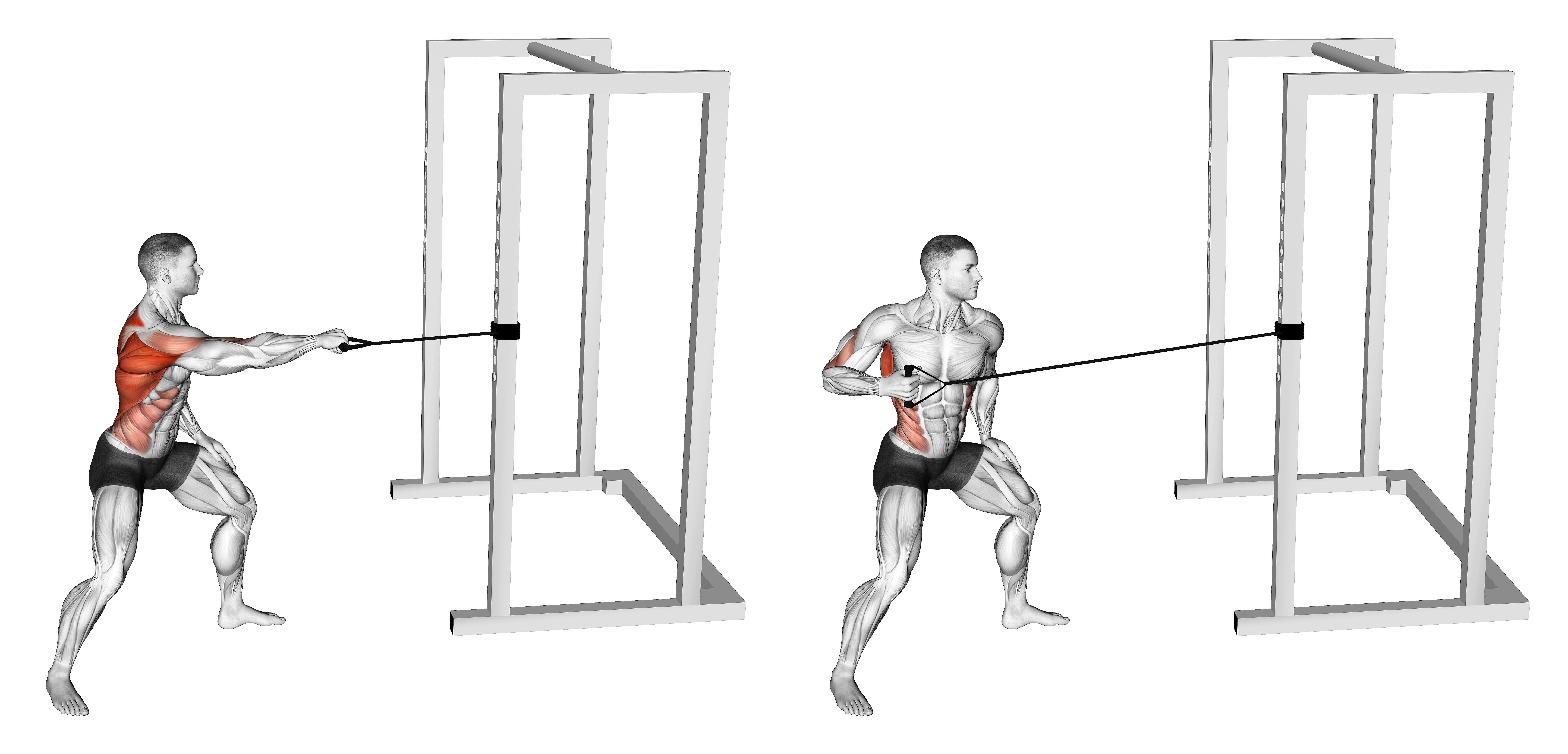 Band Standing Single Arm Twist Row
