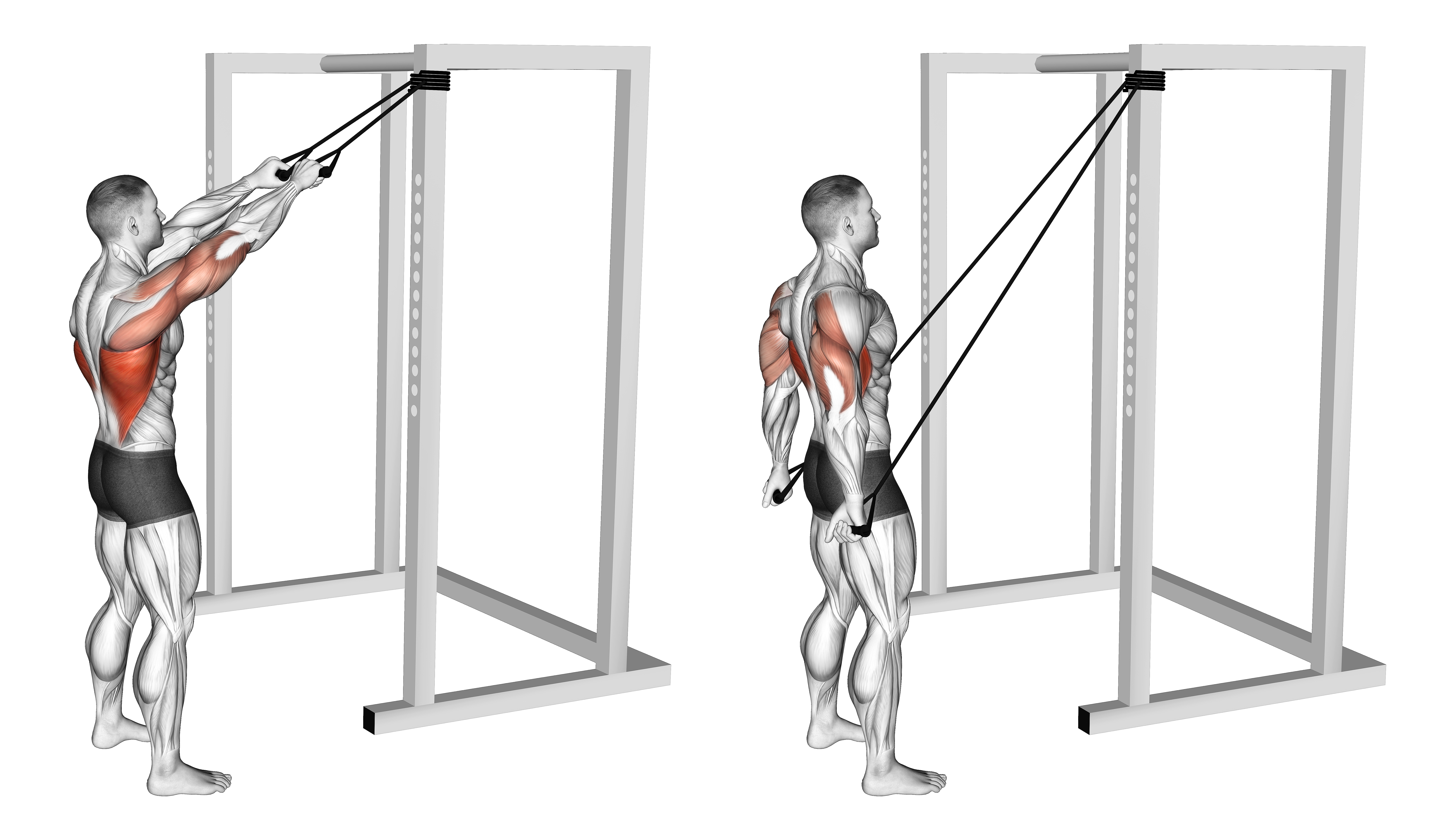 Band Standing Straight Arm Pulldown