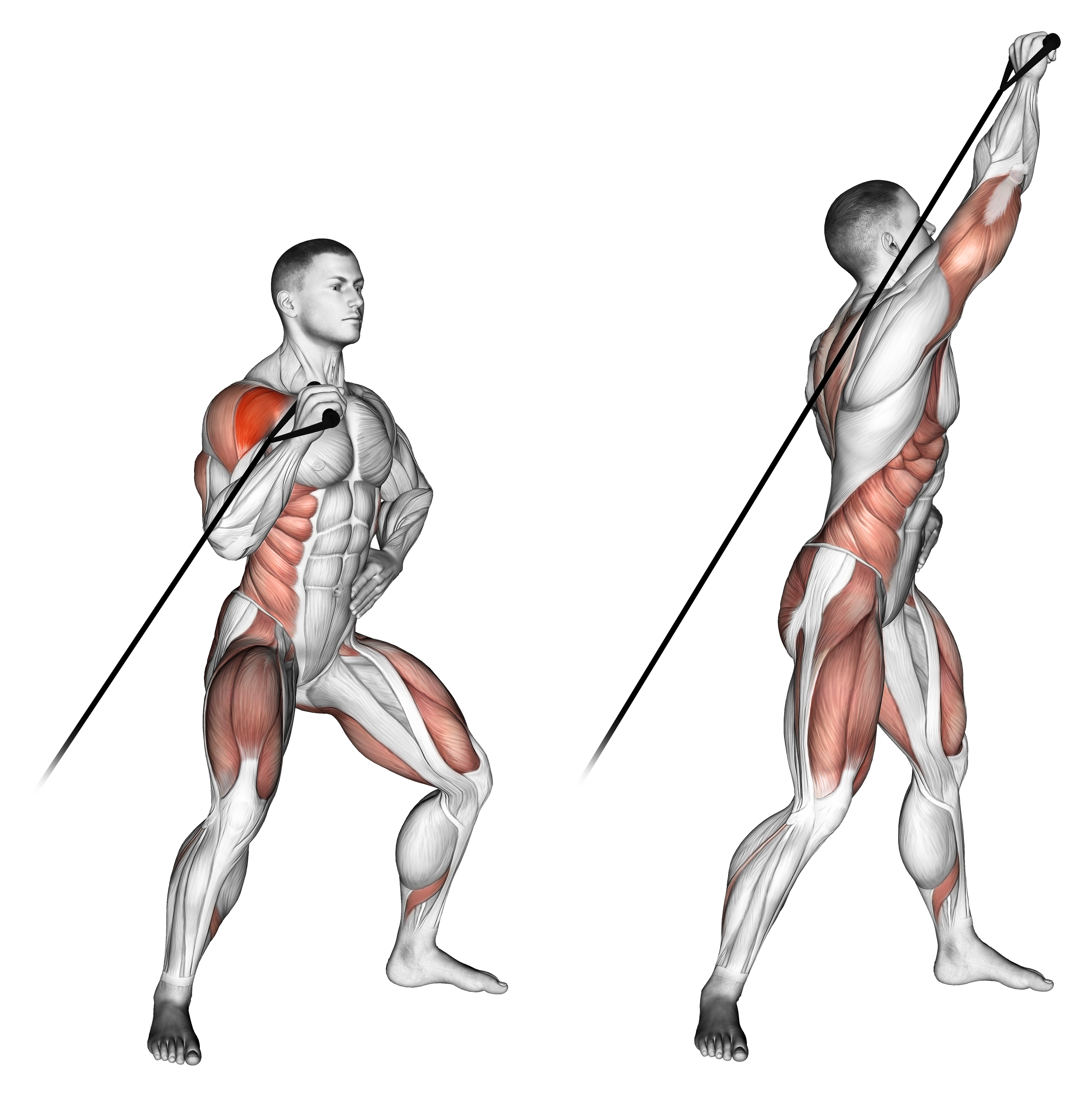 Band Twisting Overhead Press