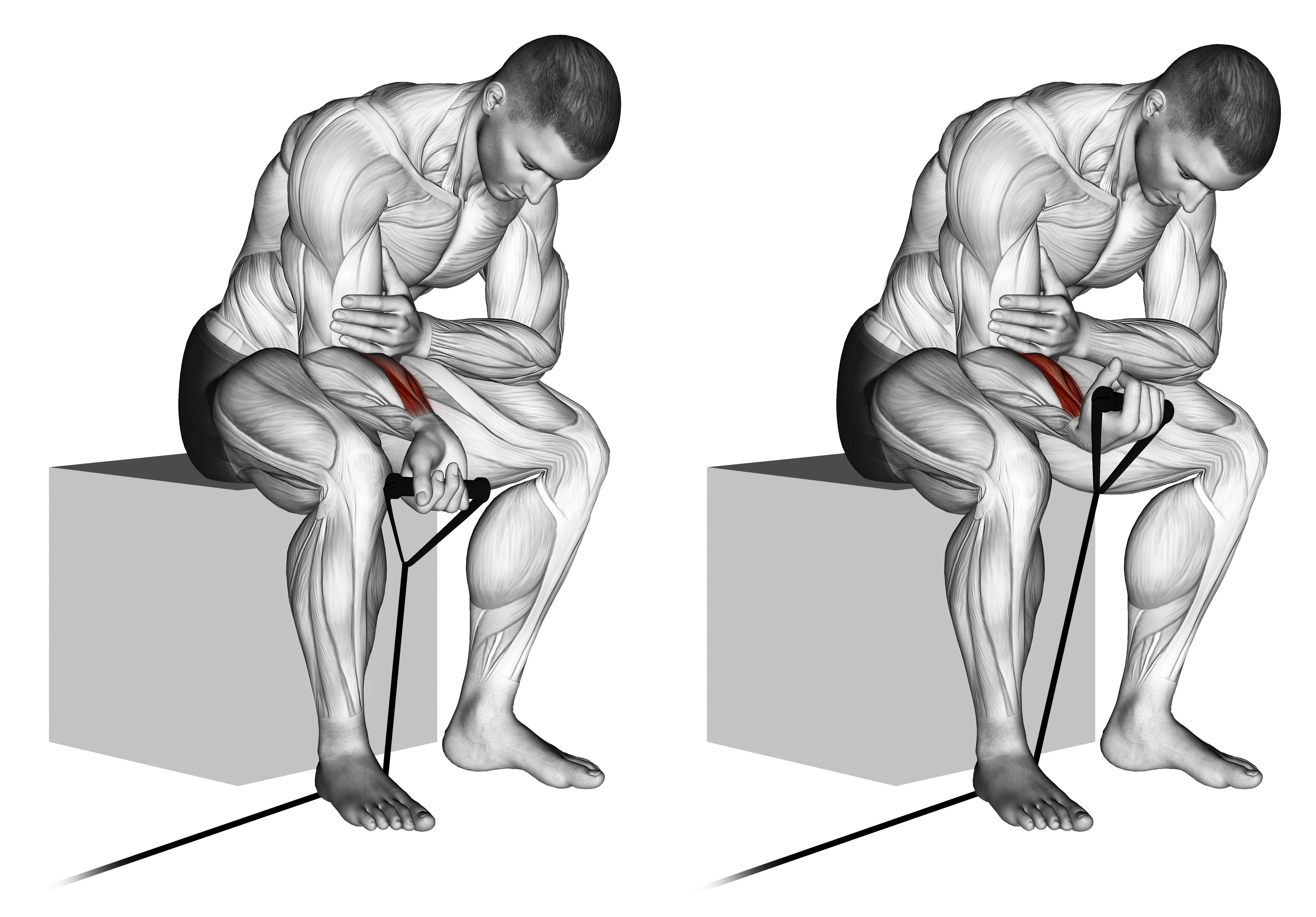 Band Wrist Curl