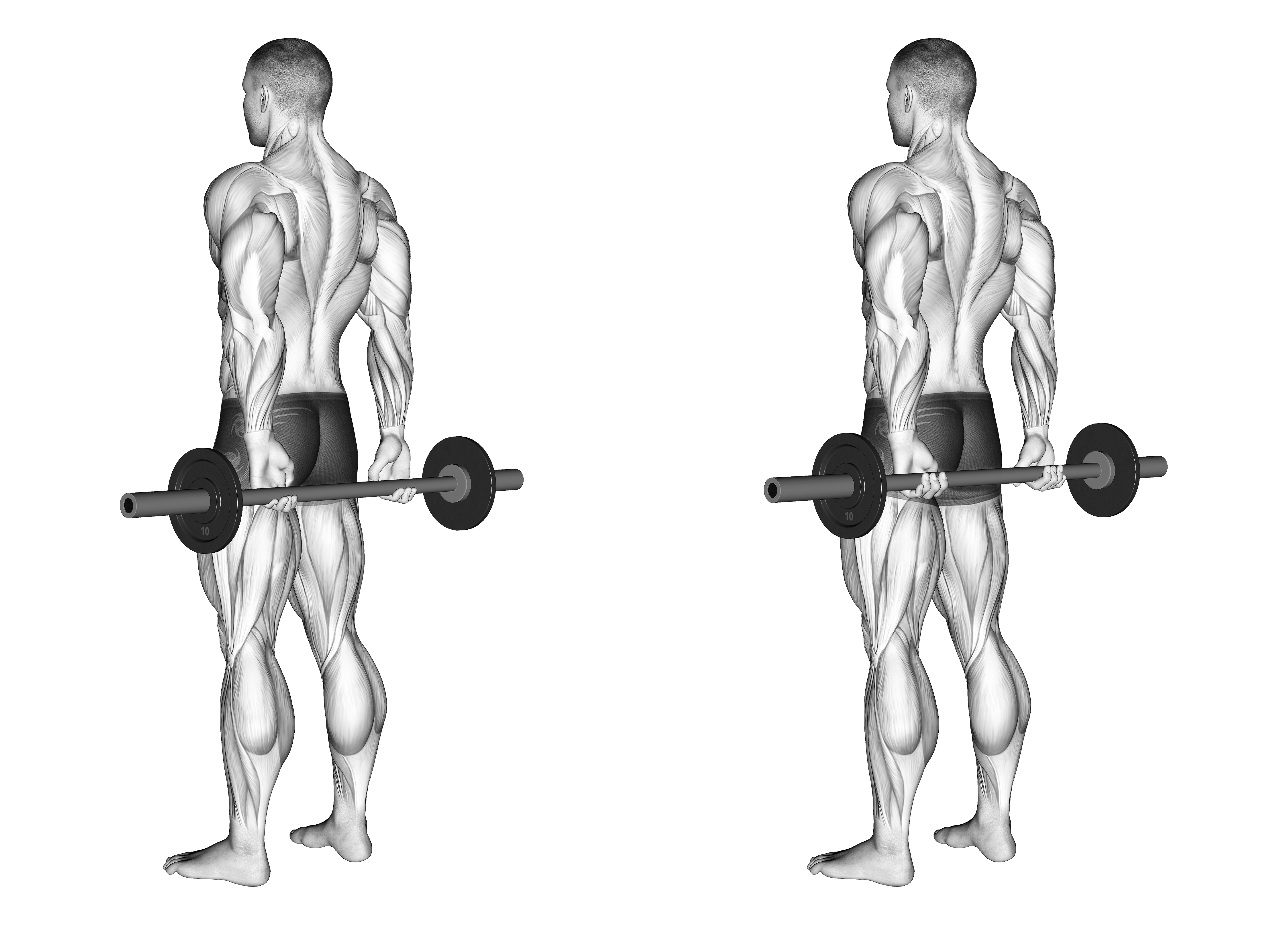 Barbell Behind Back Finger Curl