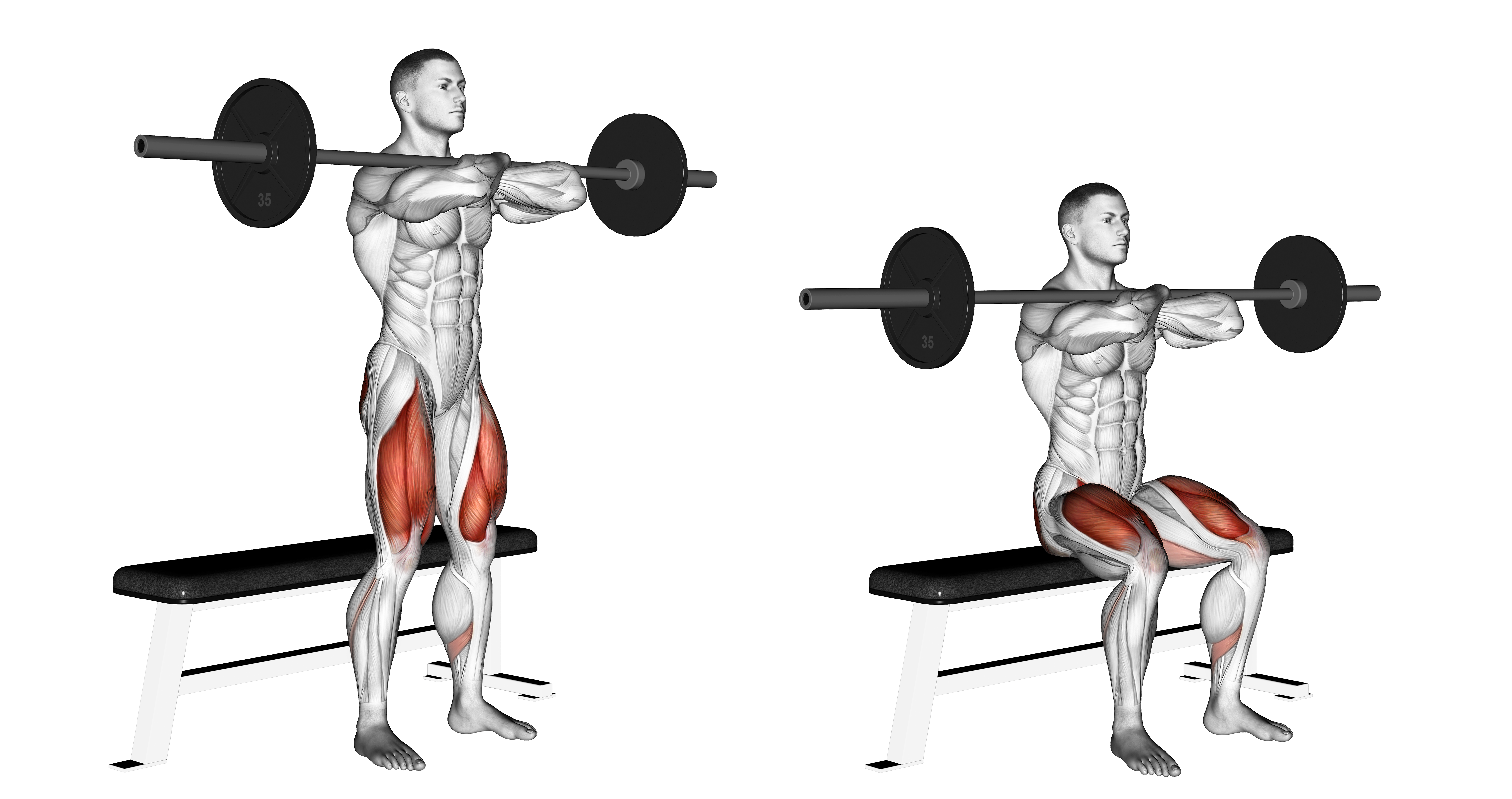 Barbell Bench Front Squat