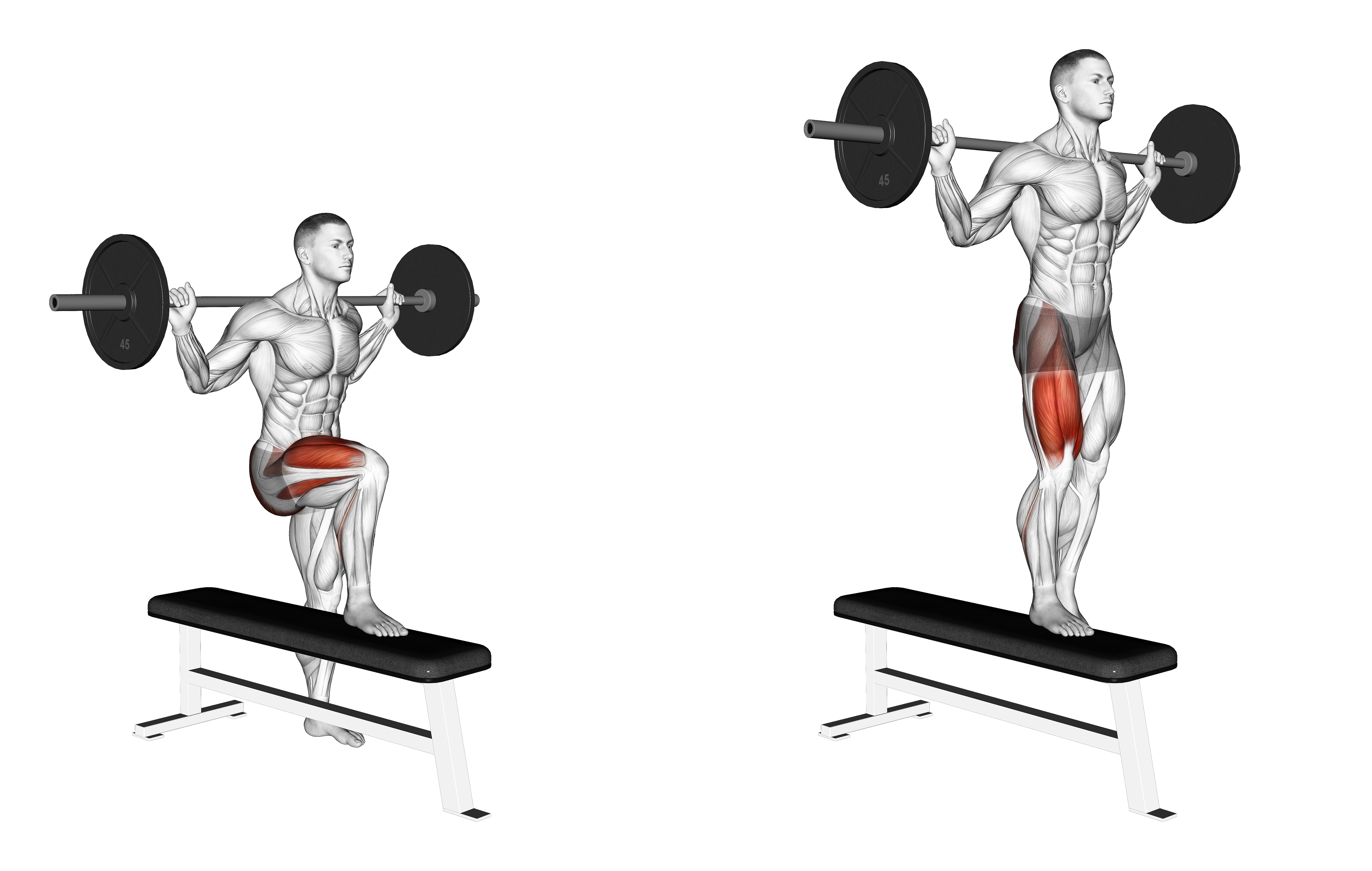 Barbell Bench Lateral Step Up