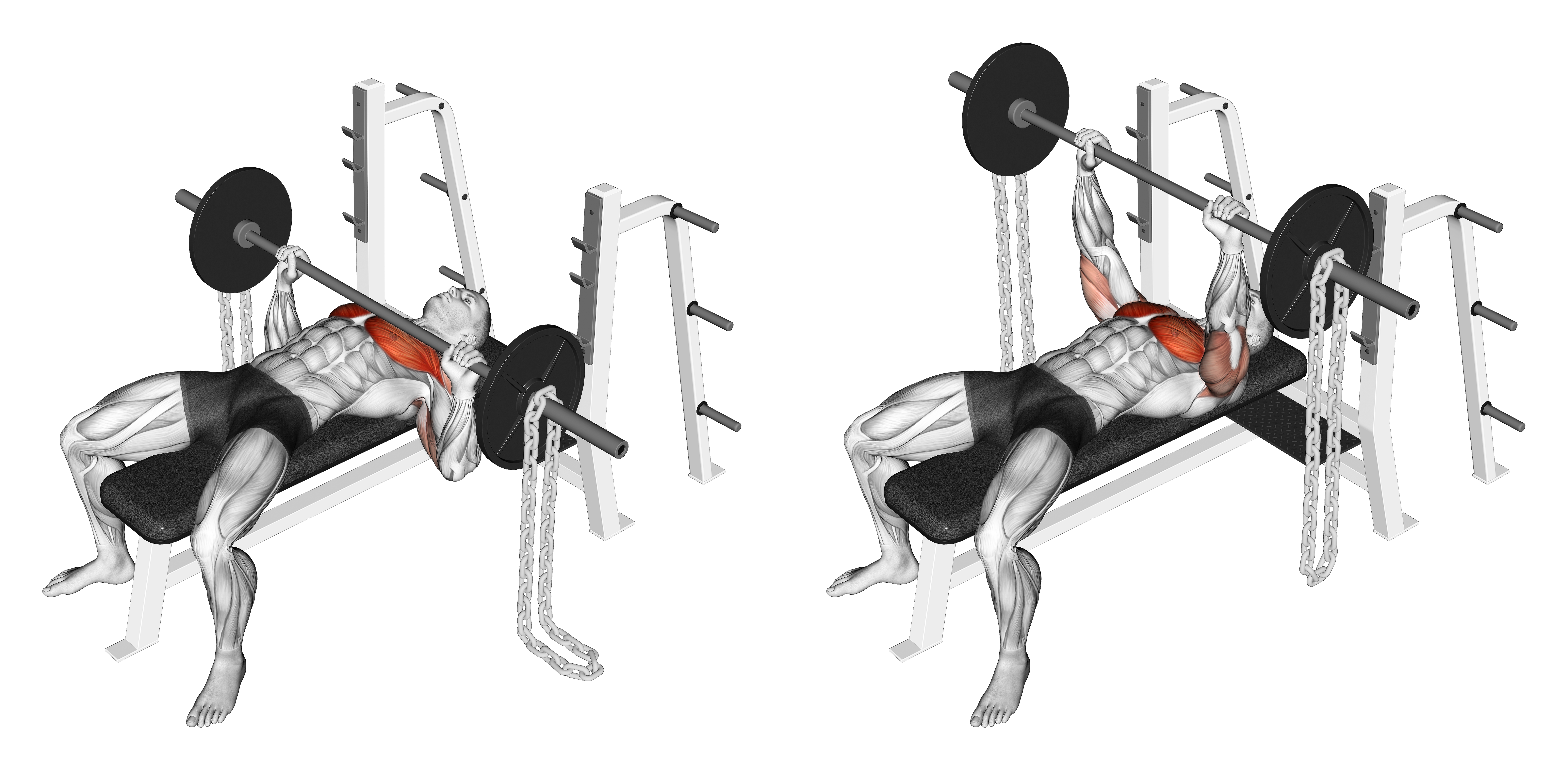 Barbell Bench Press Against Chains