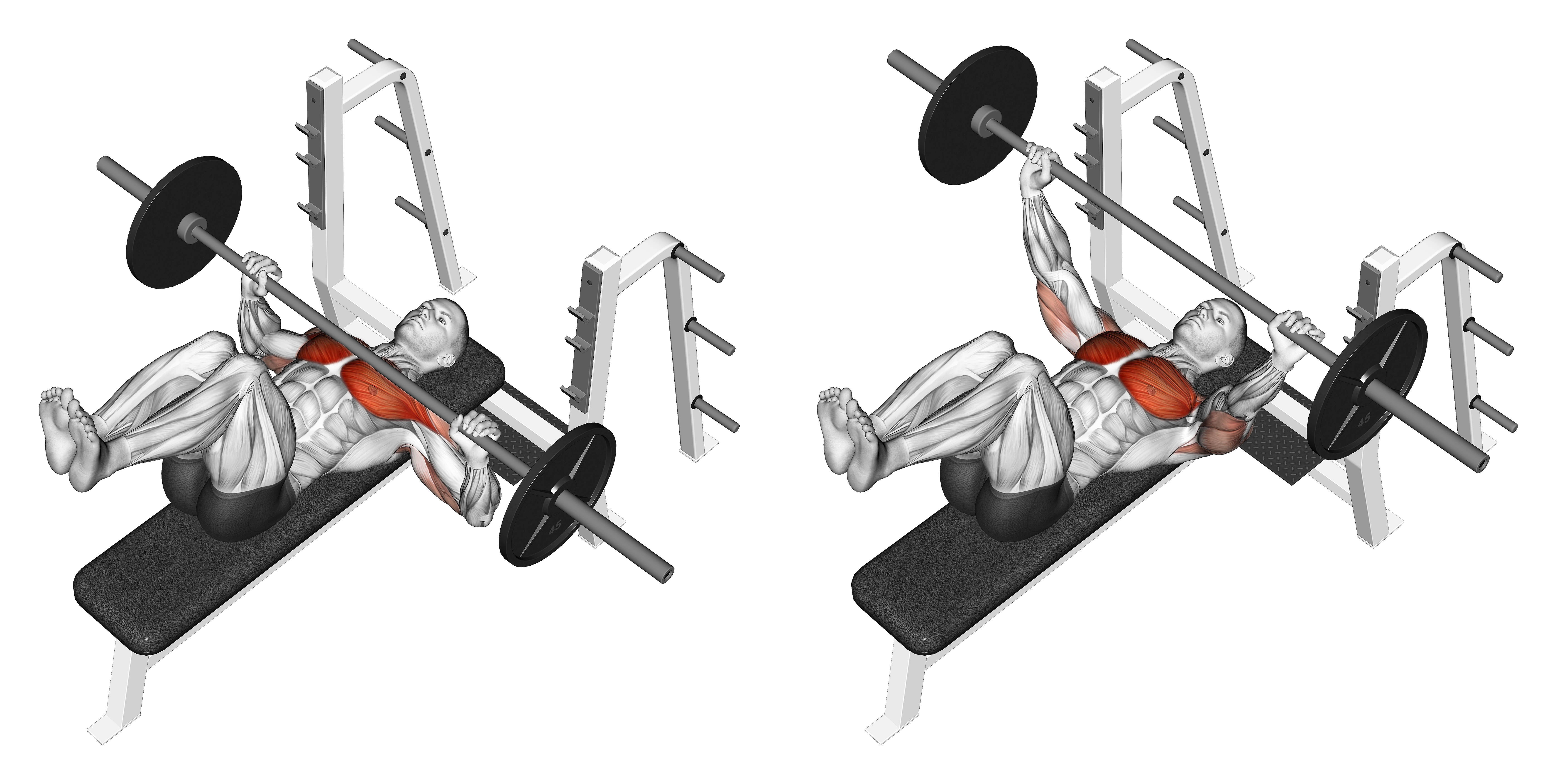 Barbell Bench Press (knees At 90 Degrees)