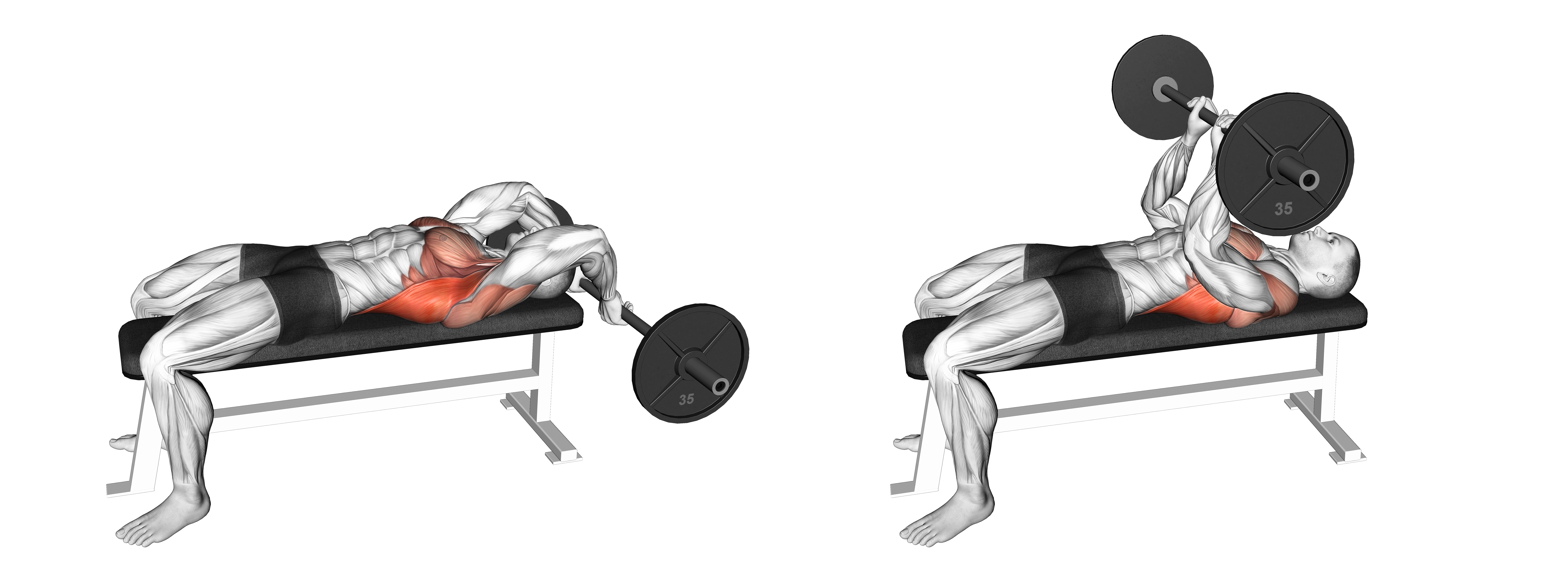 Barbell Bent Arm Pullover