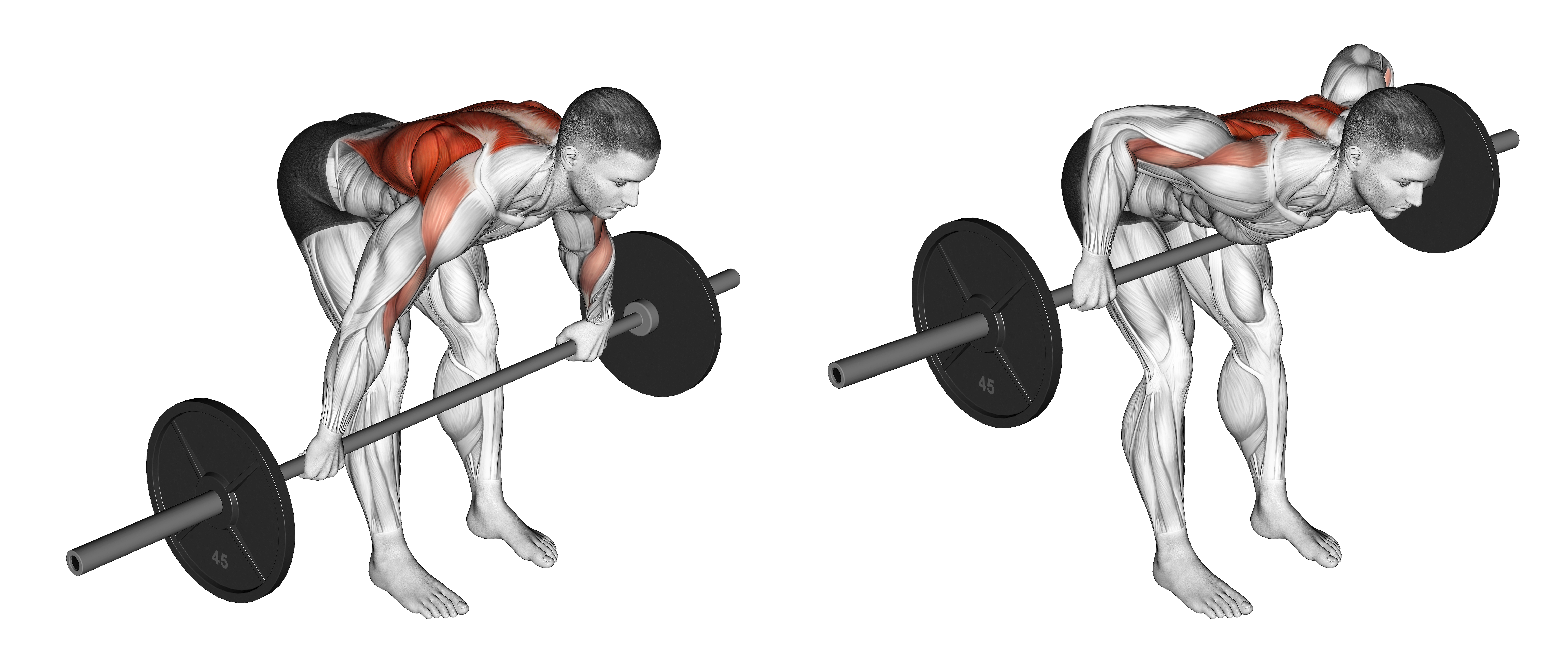 Barbell Bent Over Wide Grip Row