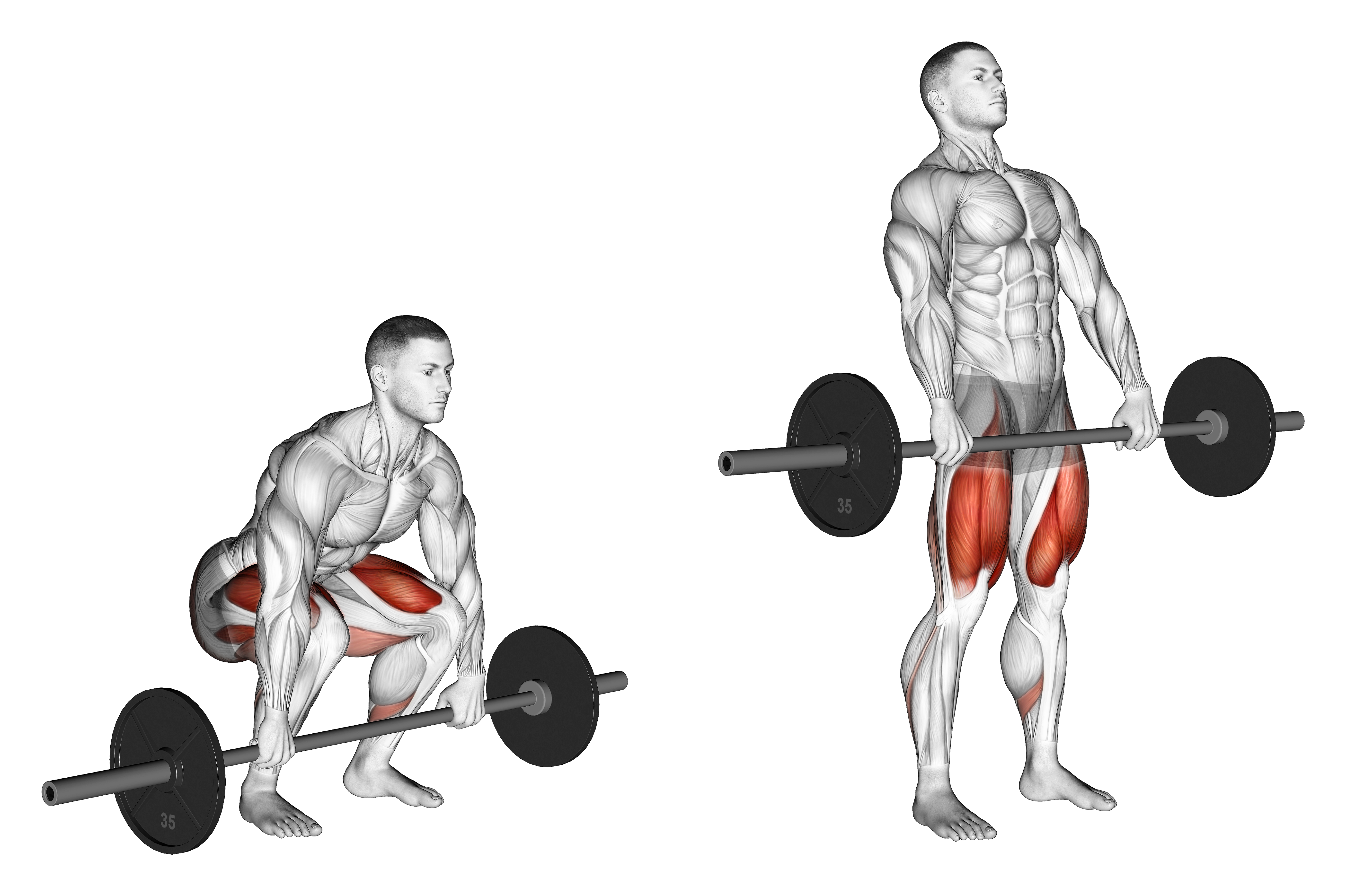 Barbell Clean Deadlift