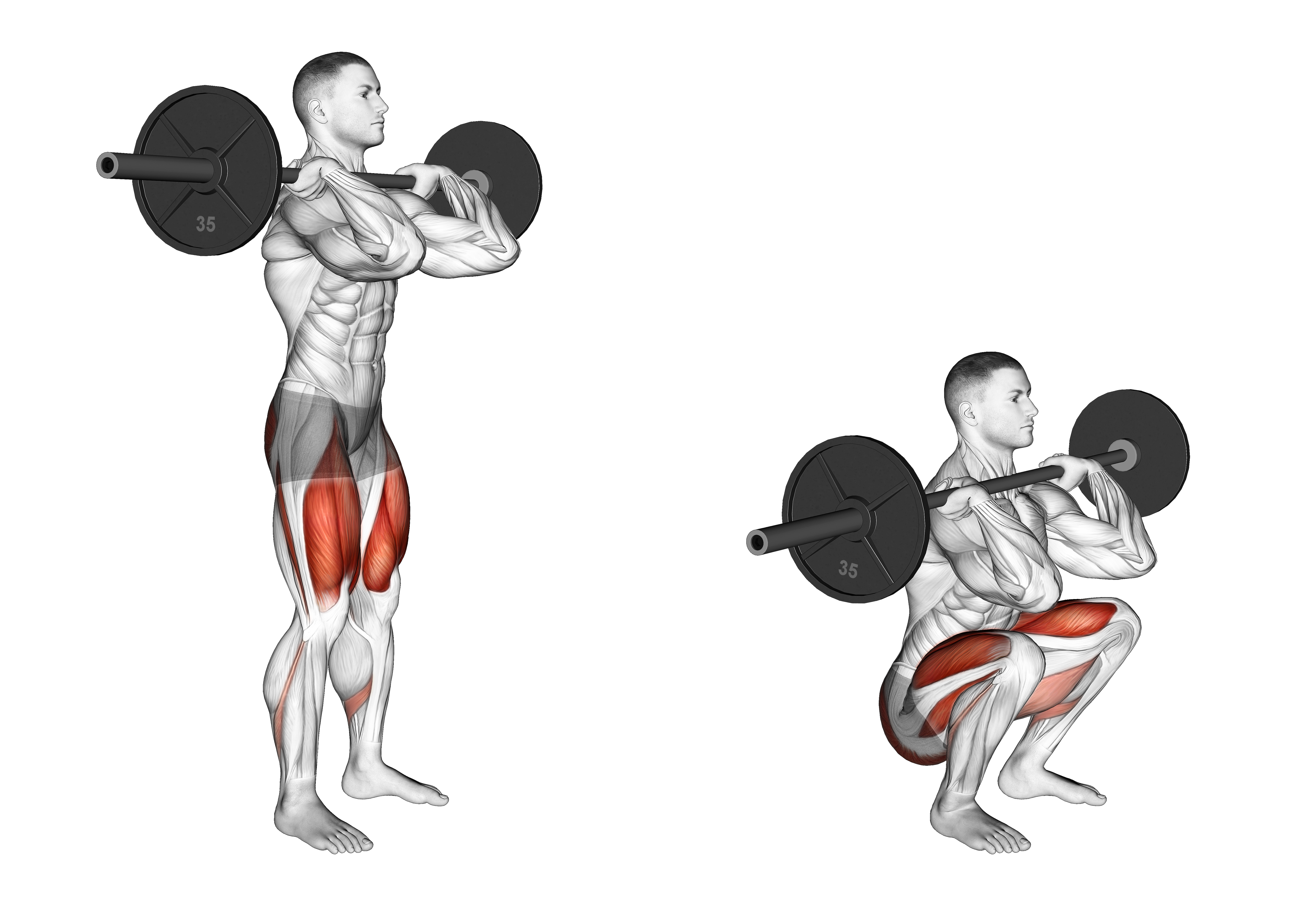 Barbell Clean Grip Front Squat