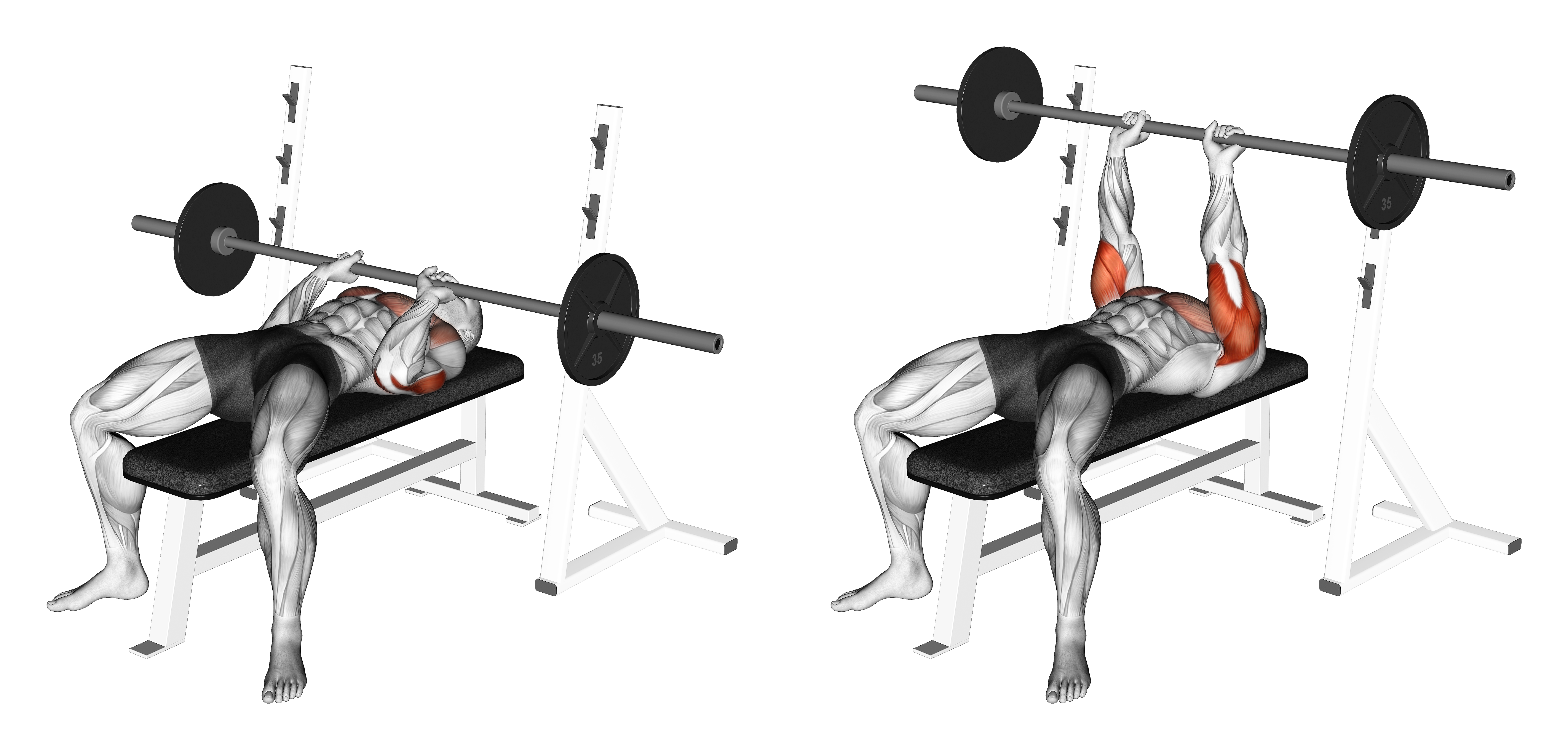 Barbell Close Grip Bench Press