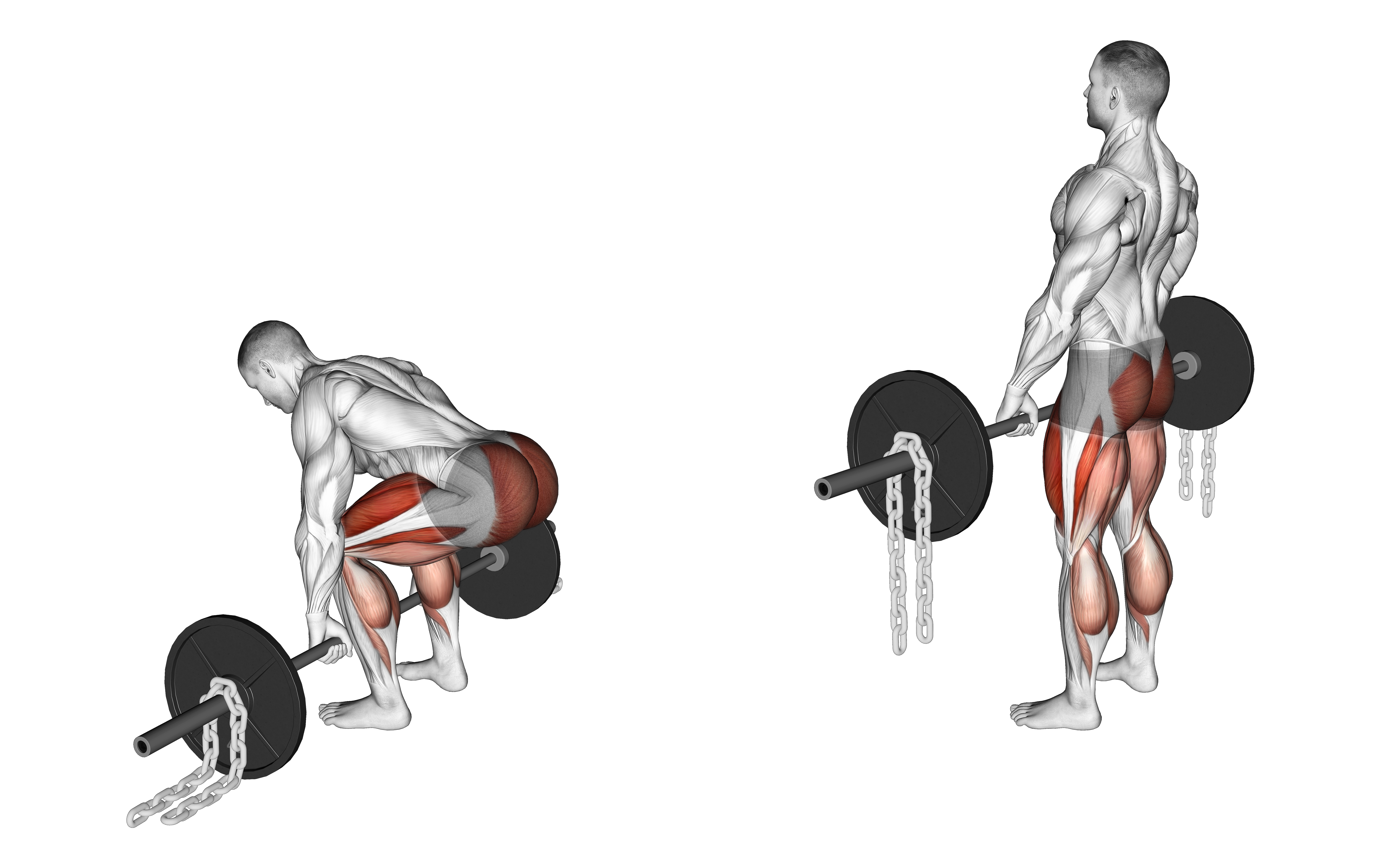 Barbell Deadlift Against Chains