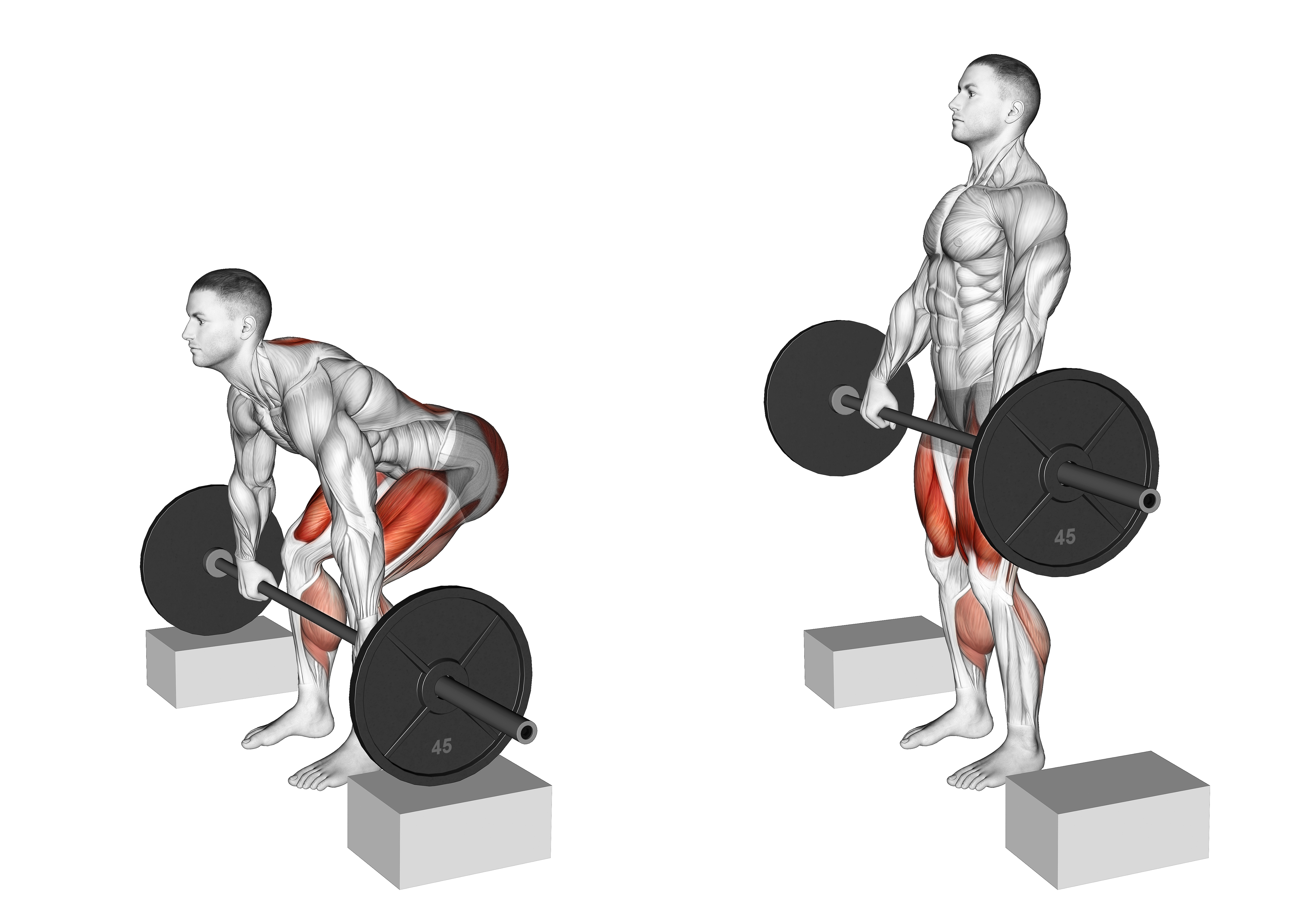 Barbell Deadlift From Blocks