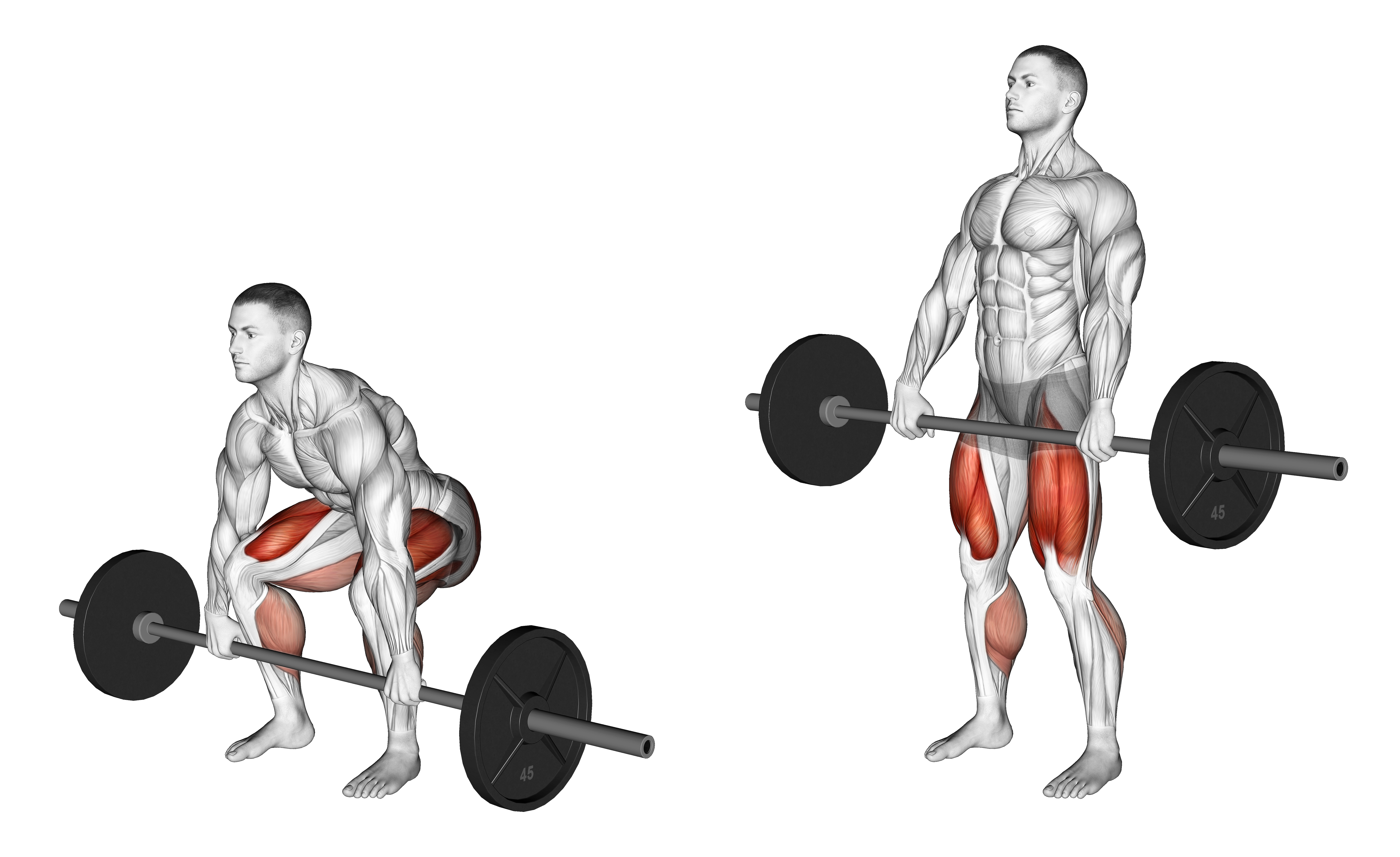 Barbell Deadlift