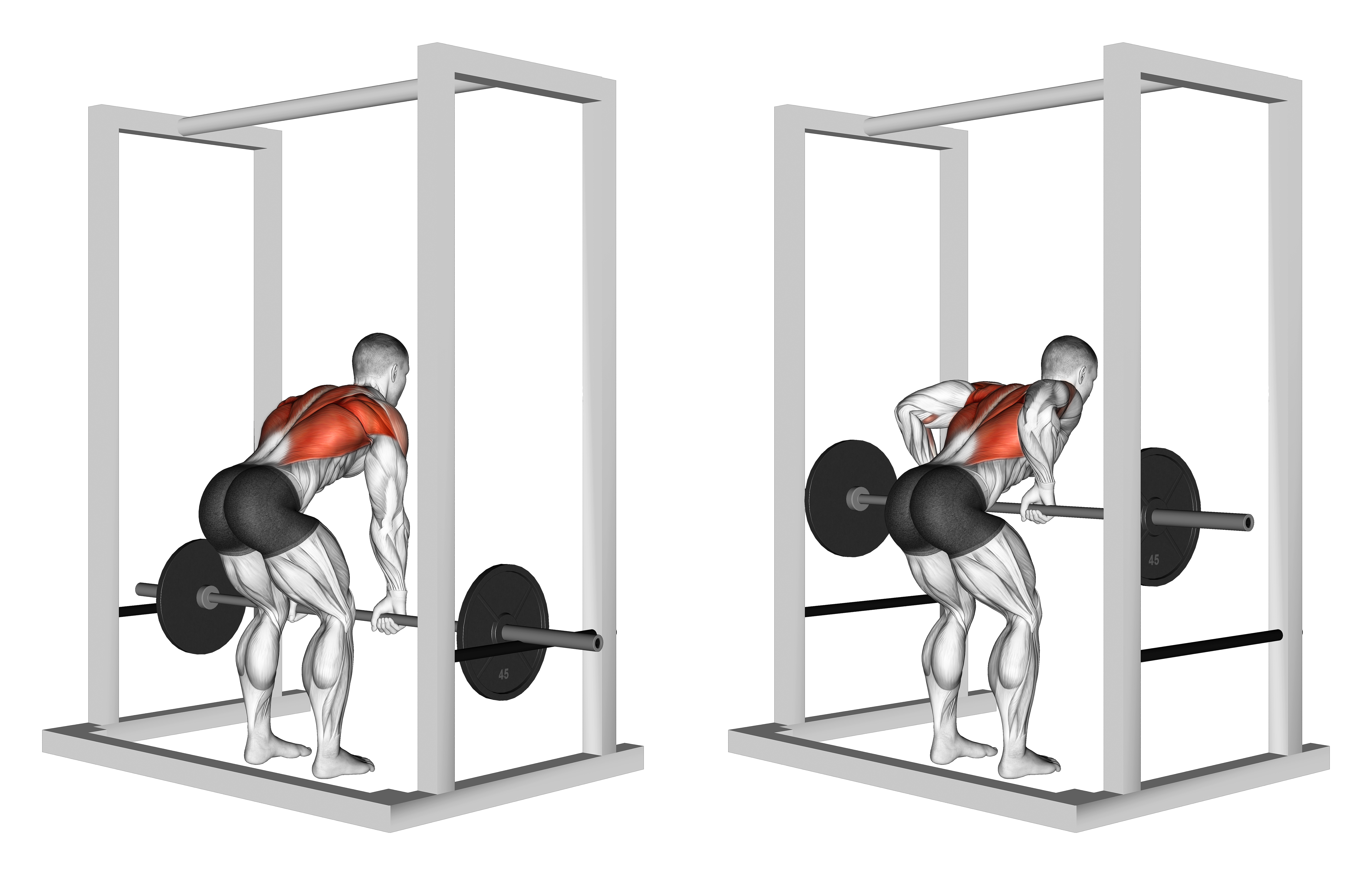 Barbell Deadstop Row With Rack