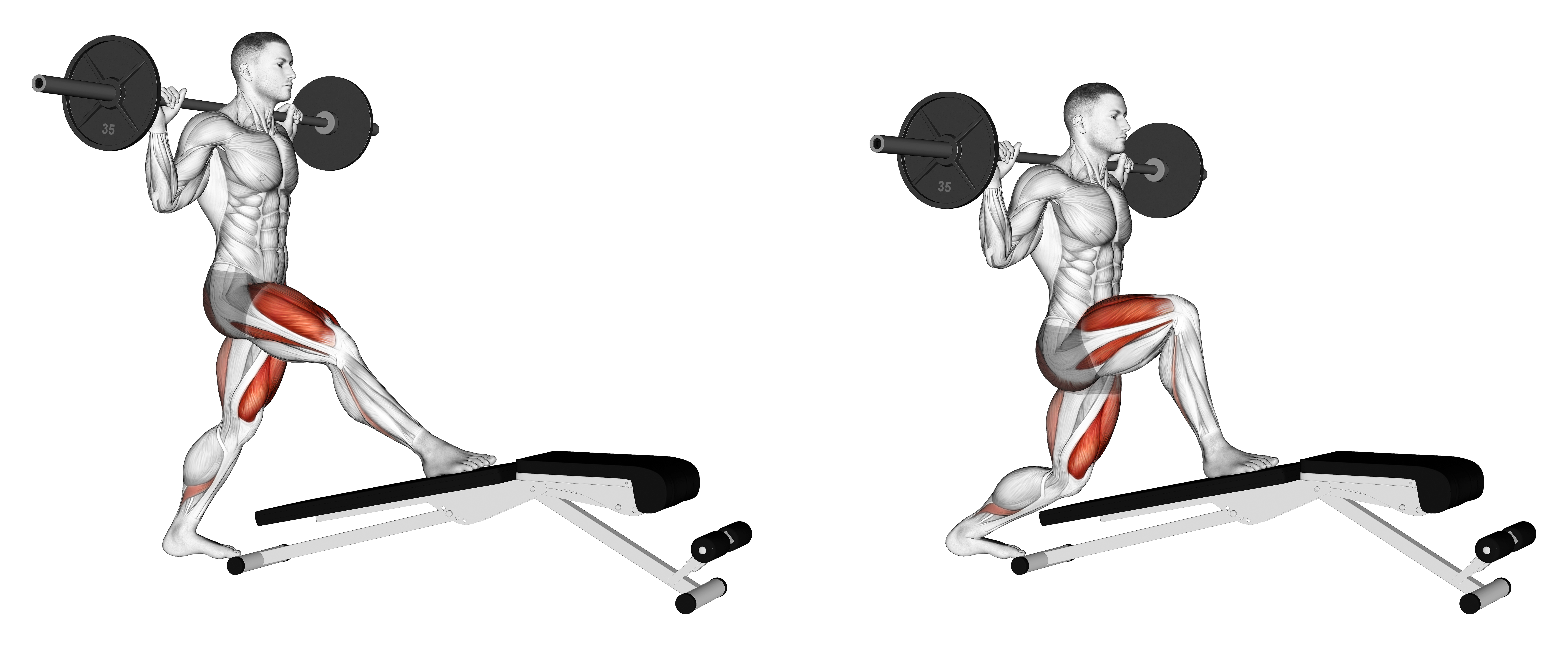 Barbell Decline Bench Lunge