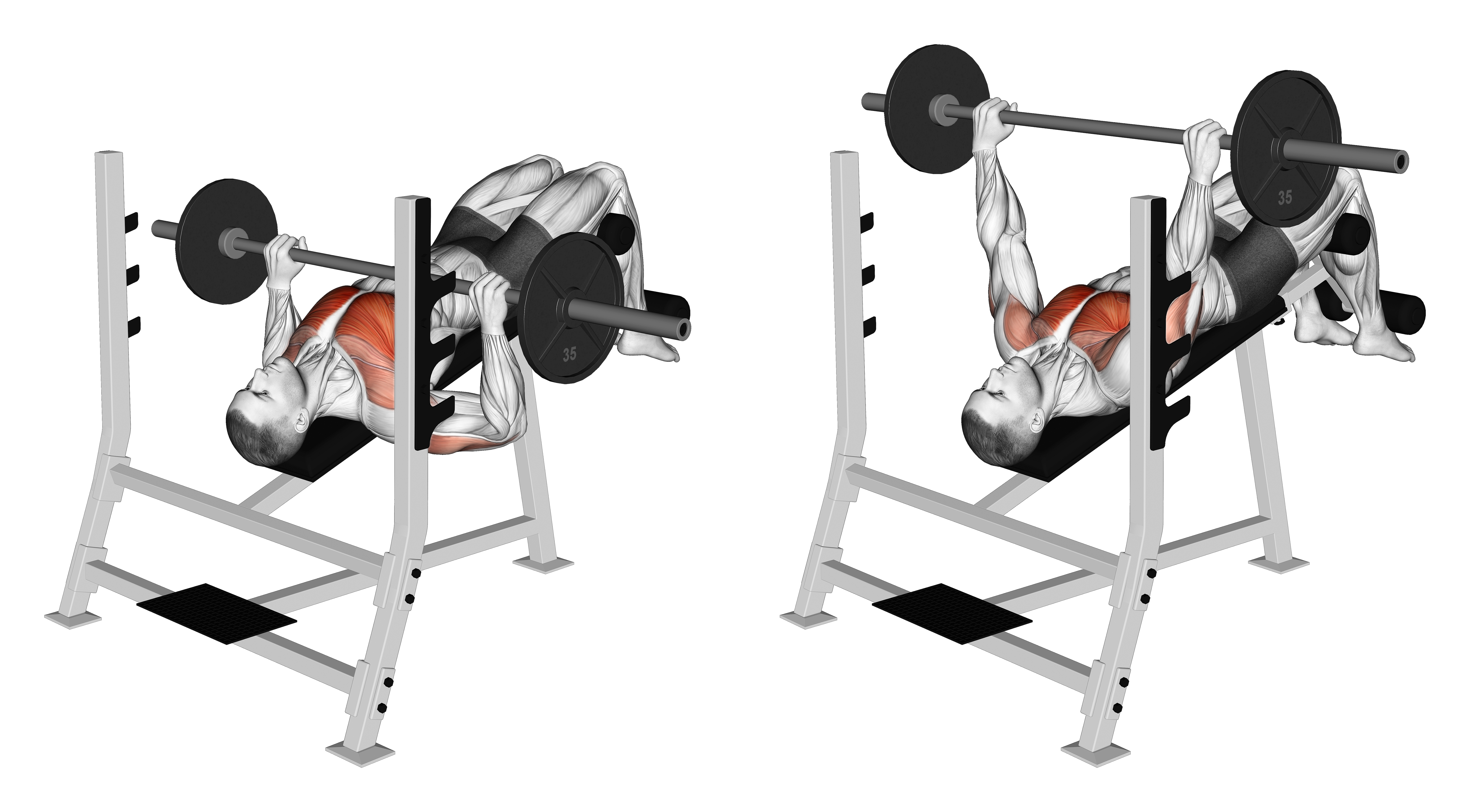 Barbell Decline Bench Press