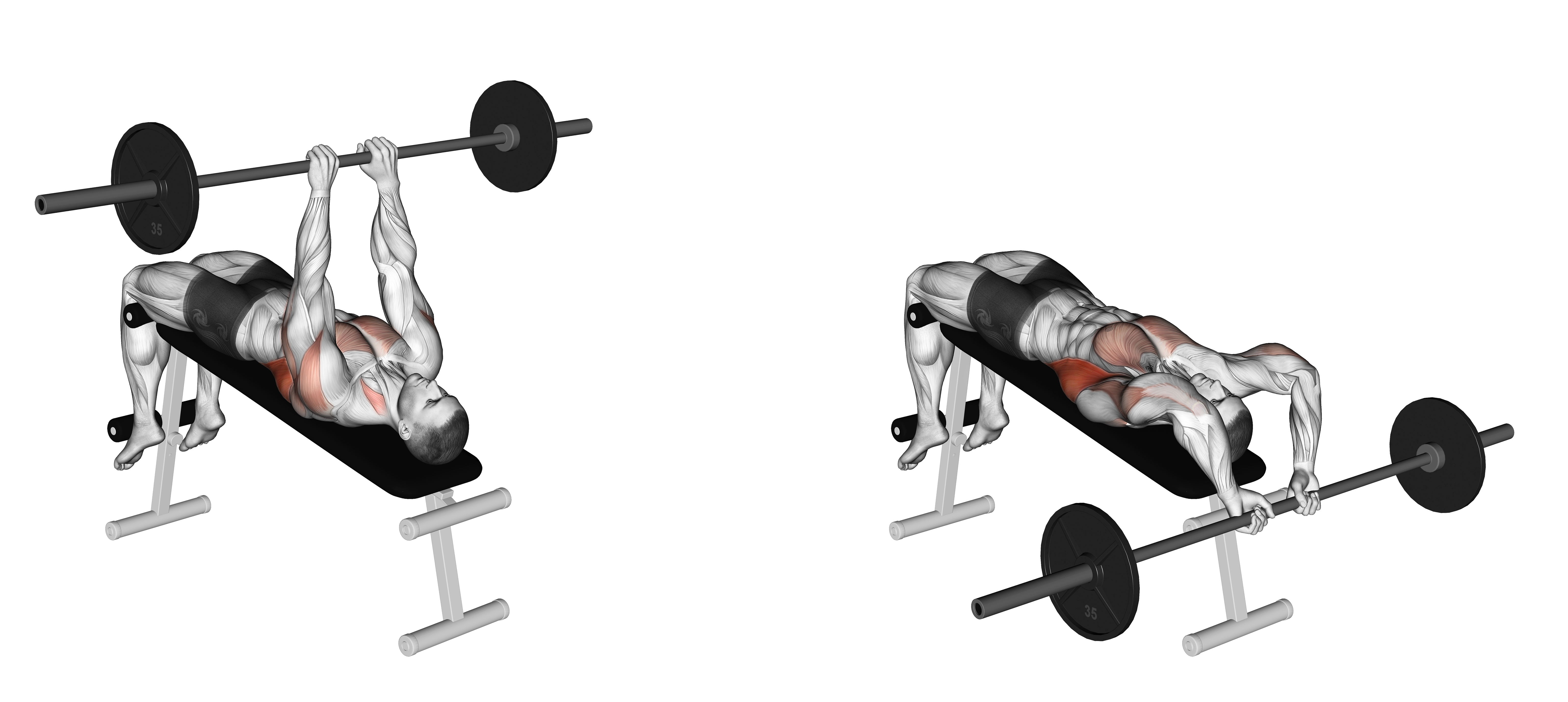 Barbell Decline Bent Arm Pullover
