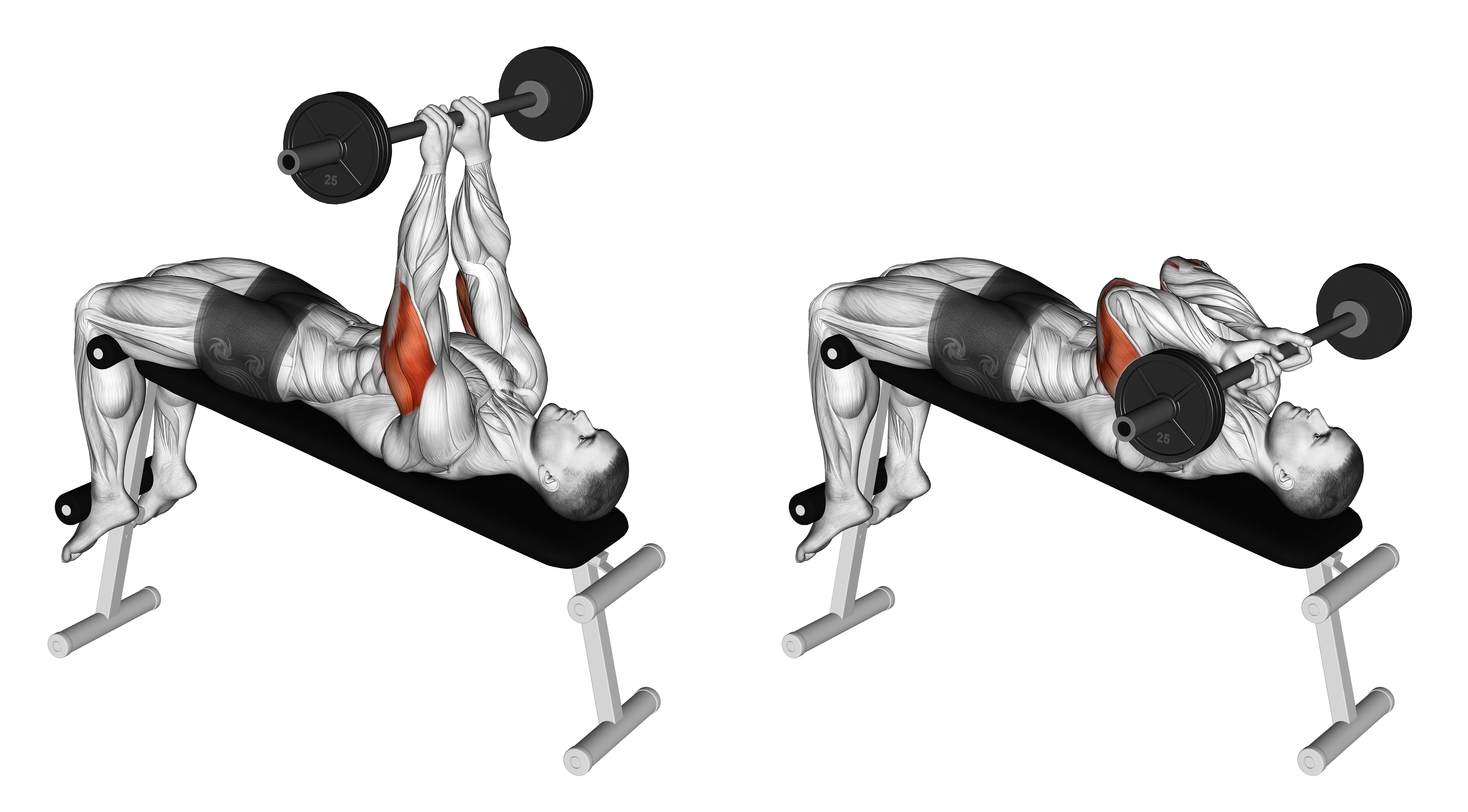 Barbell Decline Close Grip To Skull Press