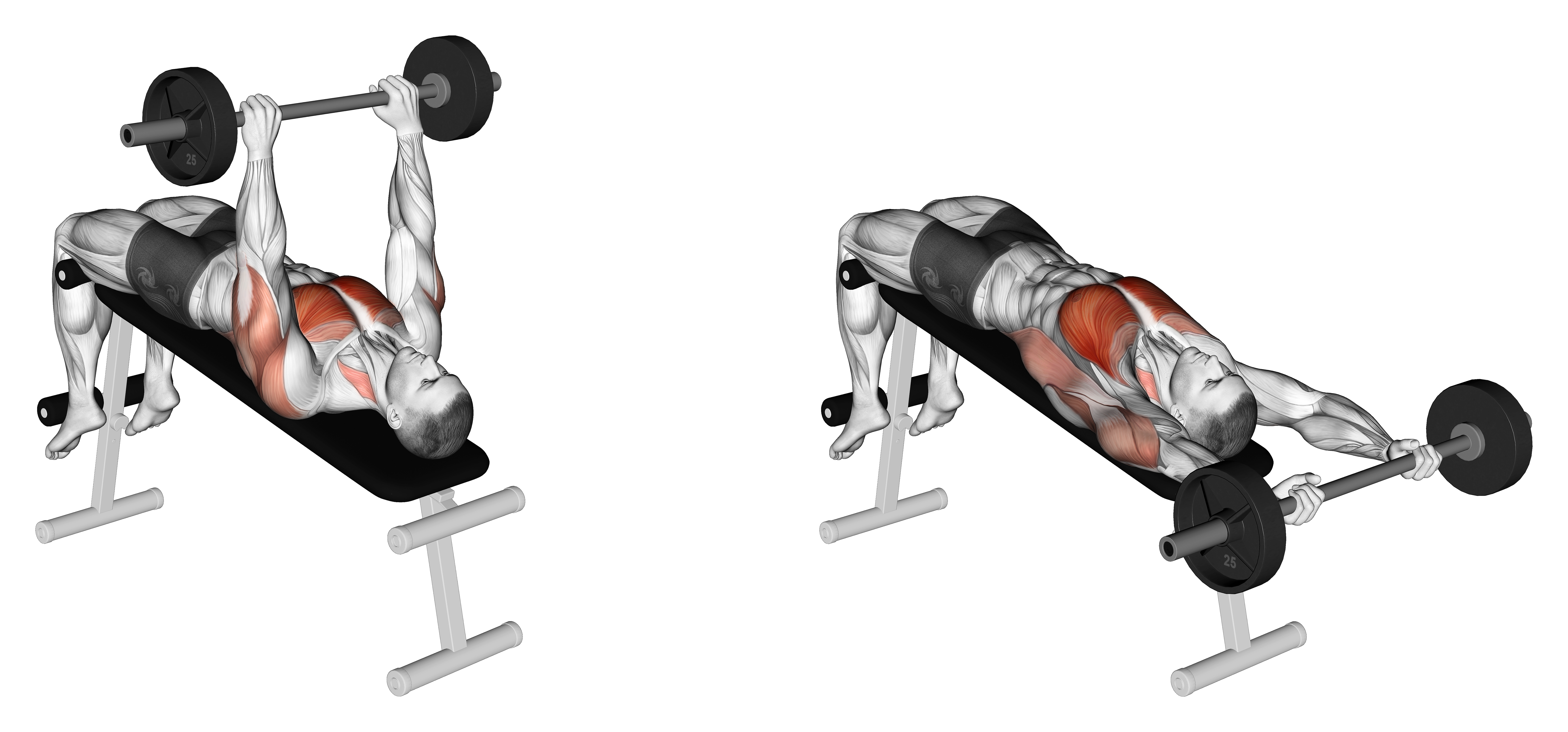 Barbell Decline Pullover