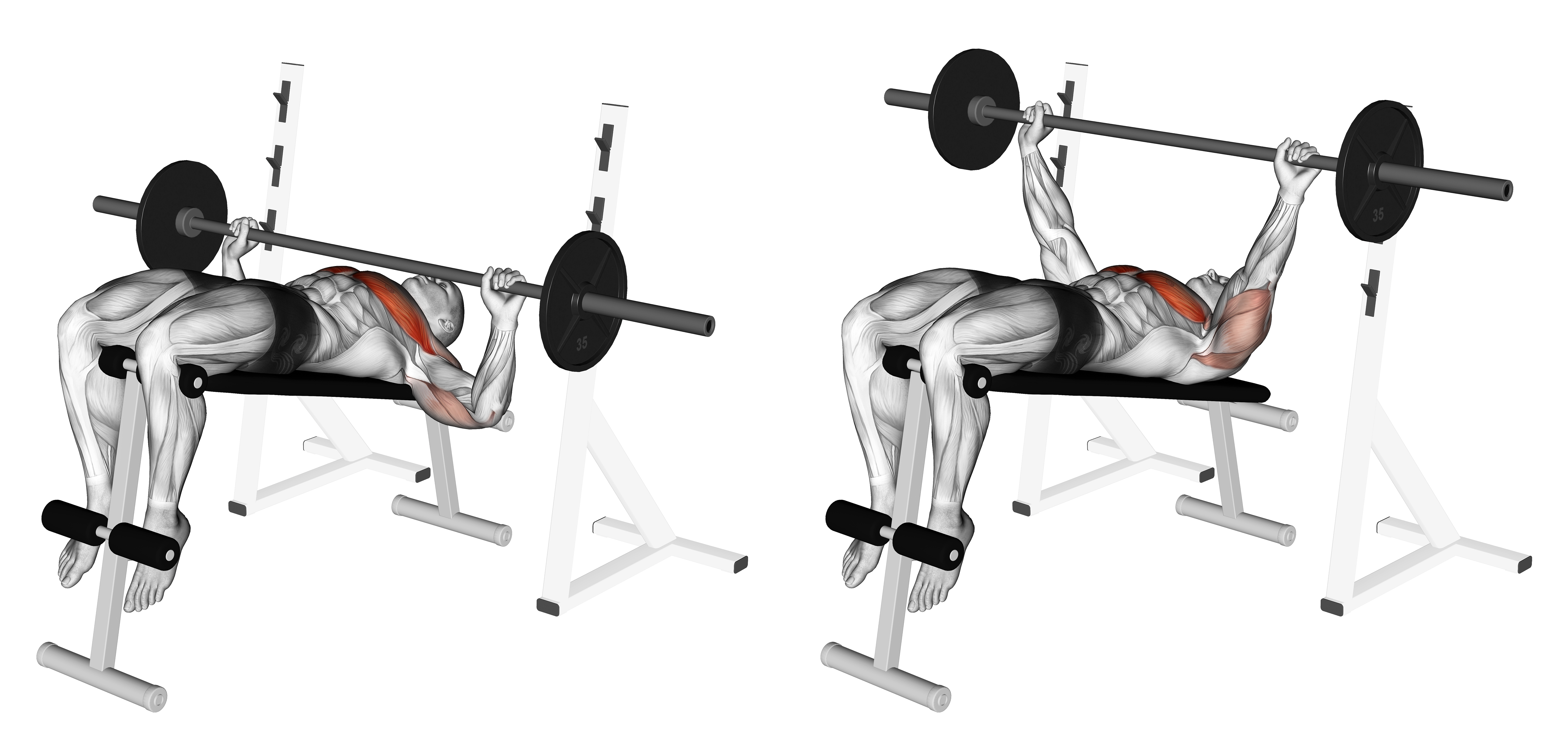 Barbell Decline Wide Grip Press