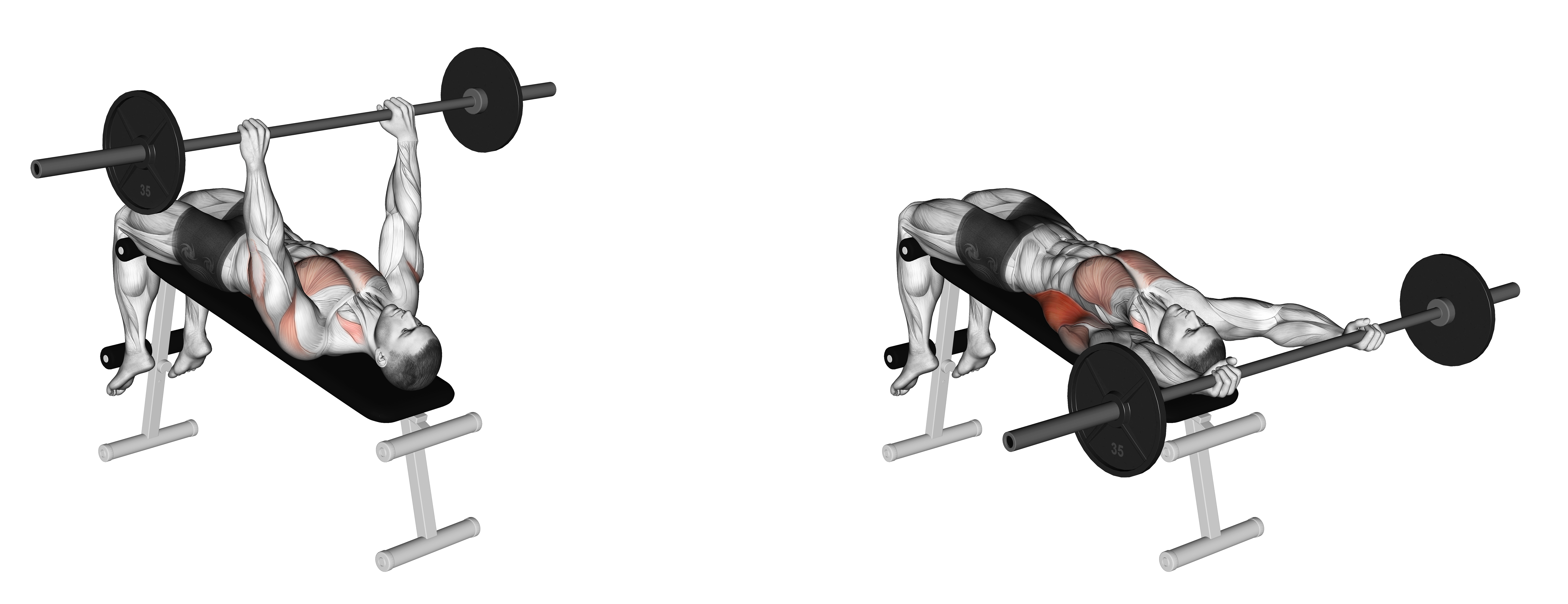Barbell Decline Wide Grip Pullover