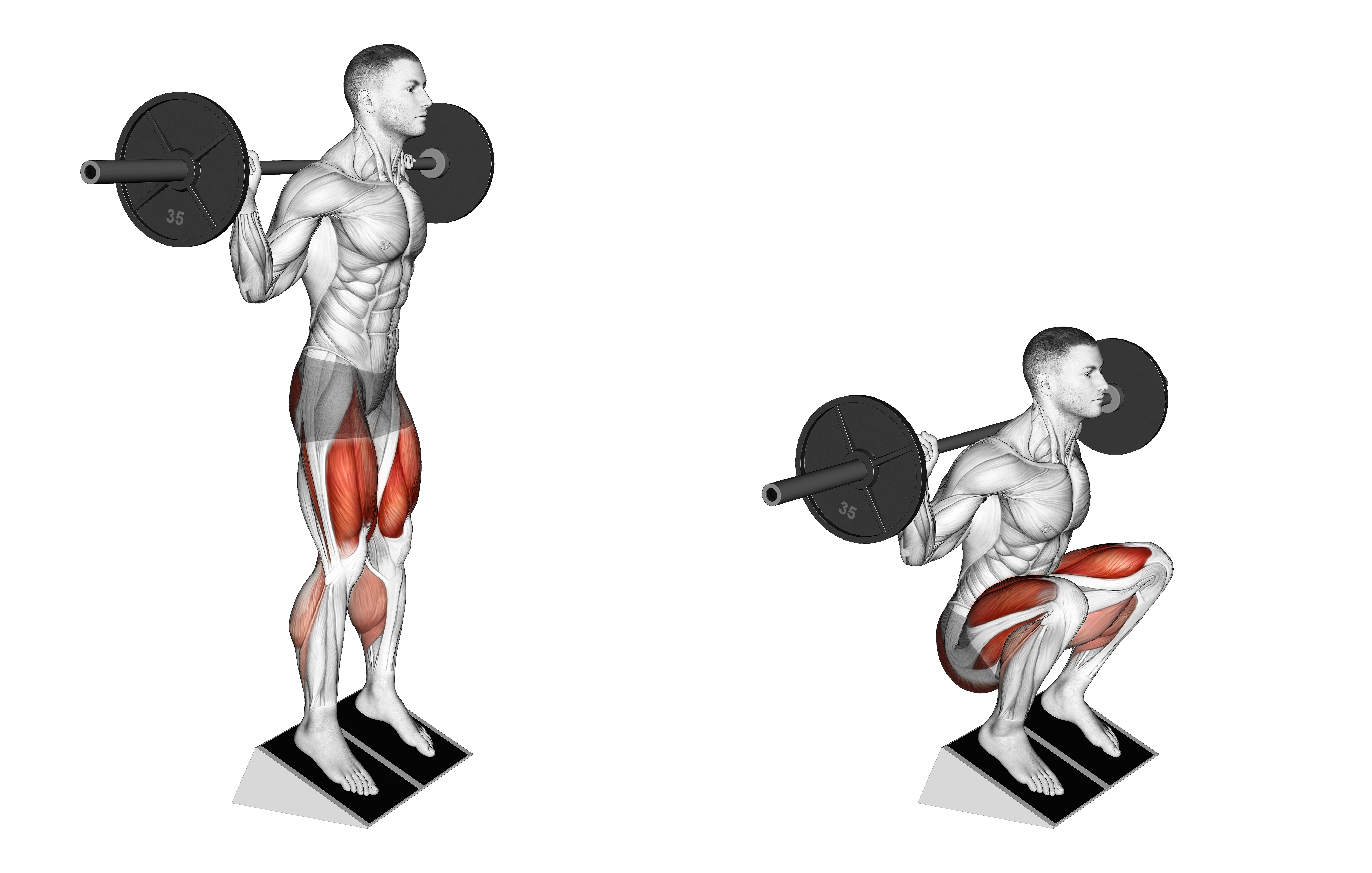 Barbell Elevated Heel Squat