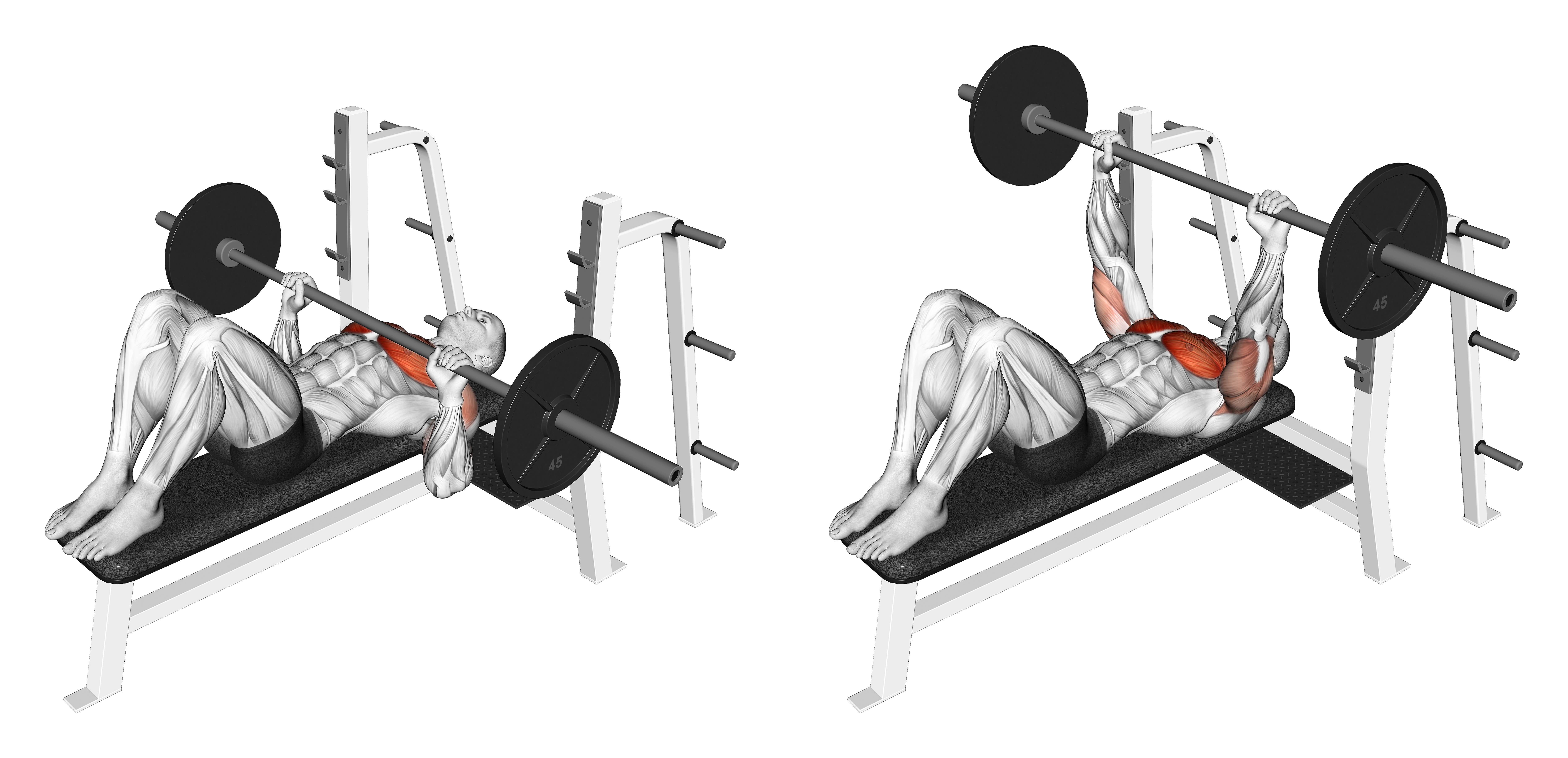 Barbell Feet Flat Bench Press