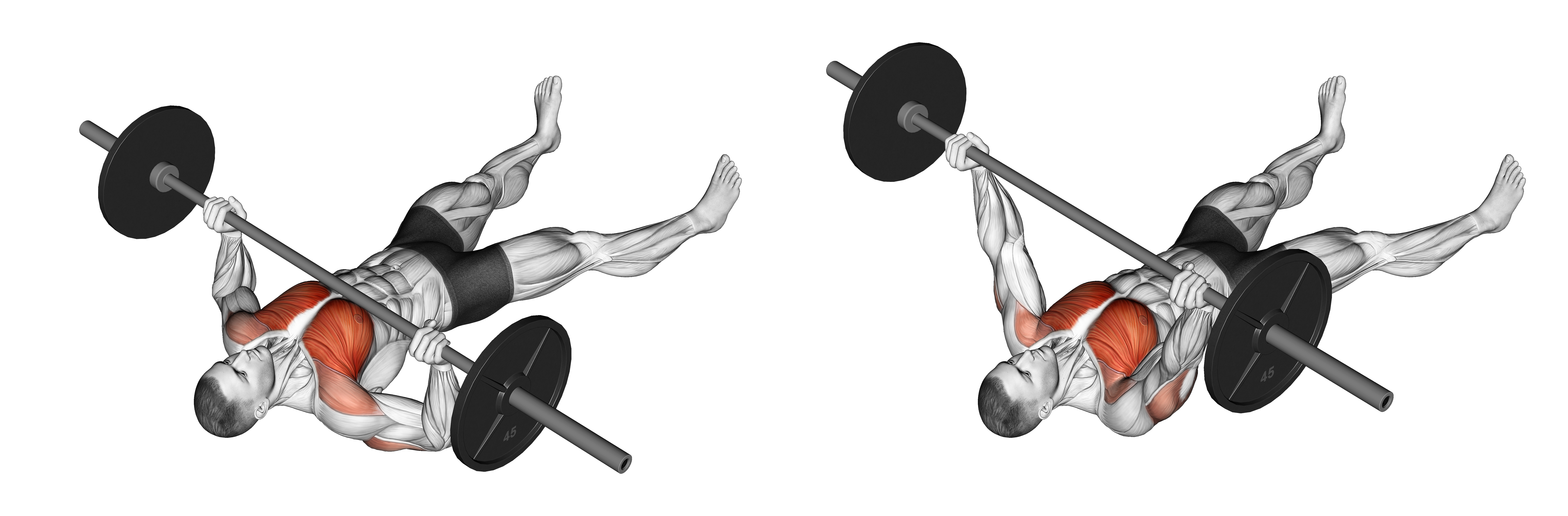 Barbell Floor Chest Press