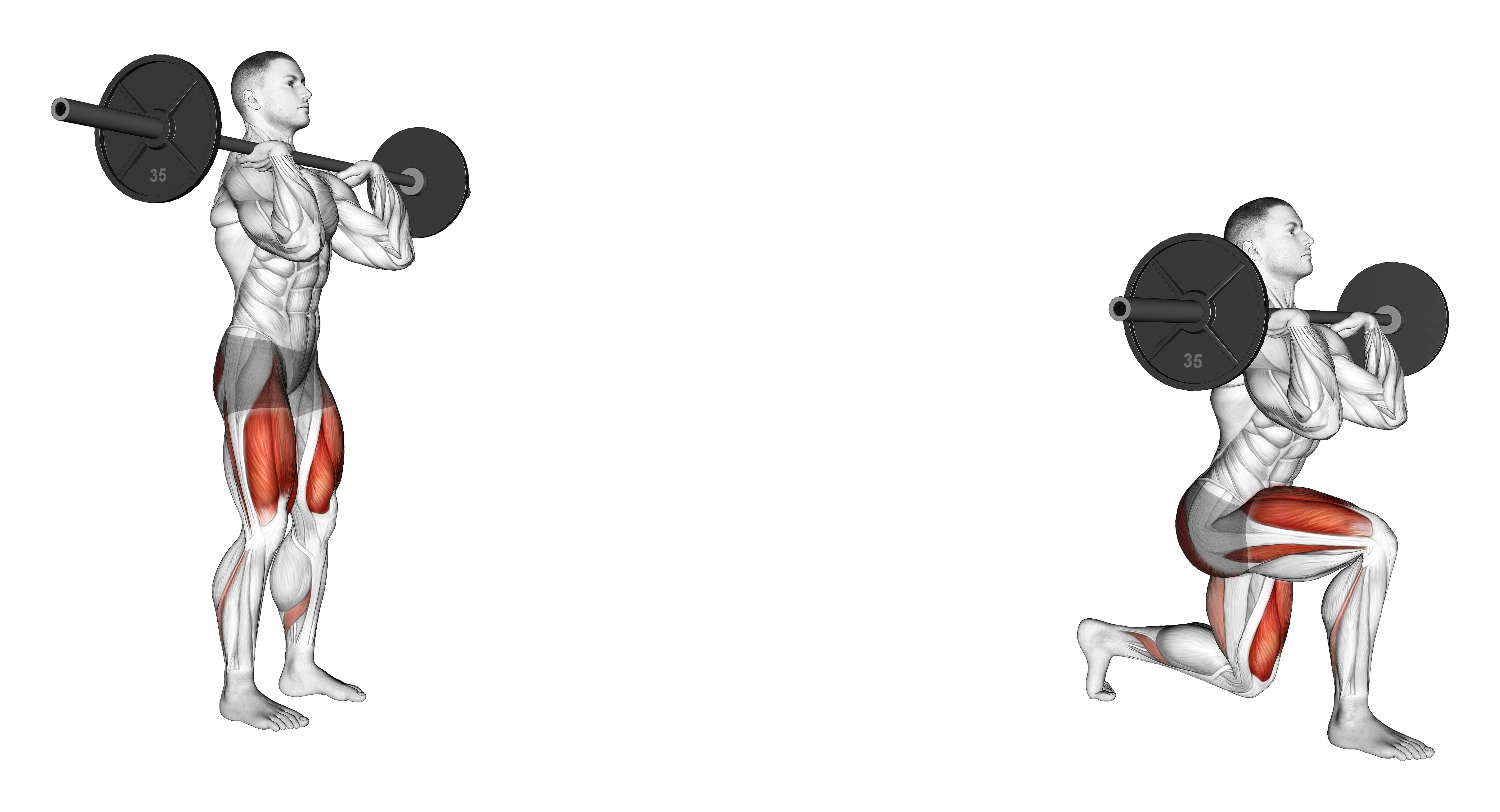 Barbell Front Rack Lunge