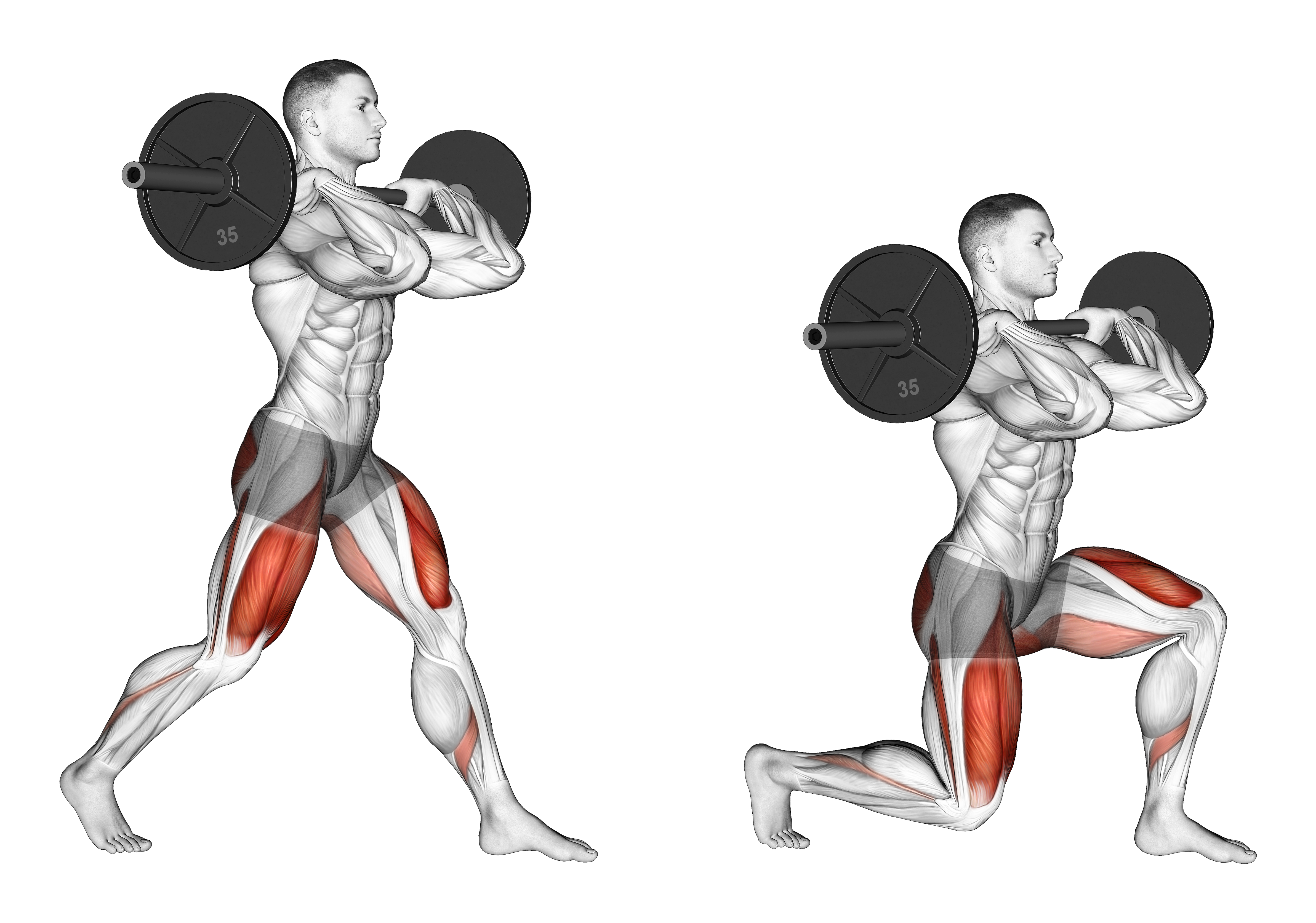 Barbell Front Rack Split Squat