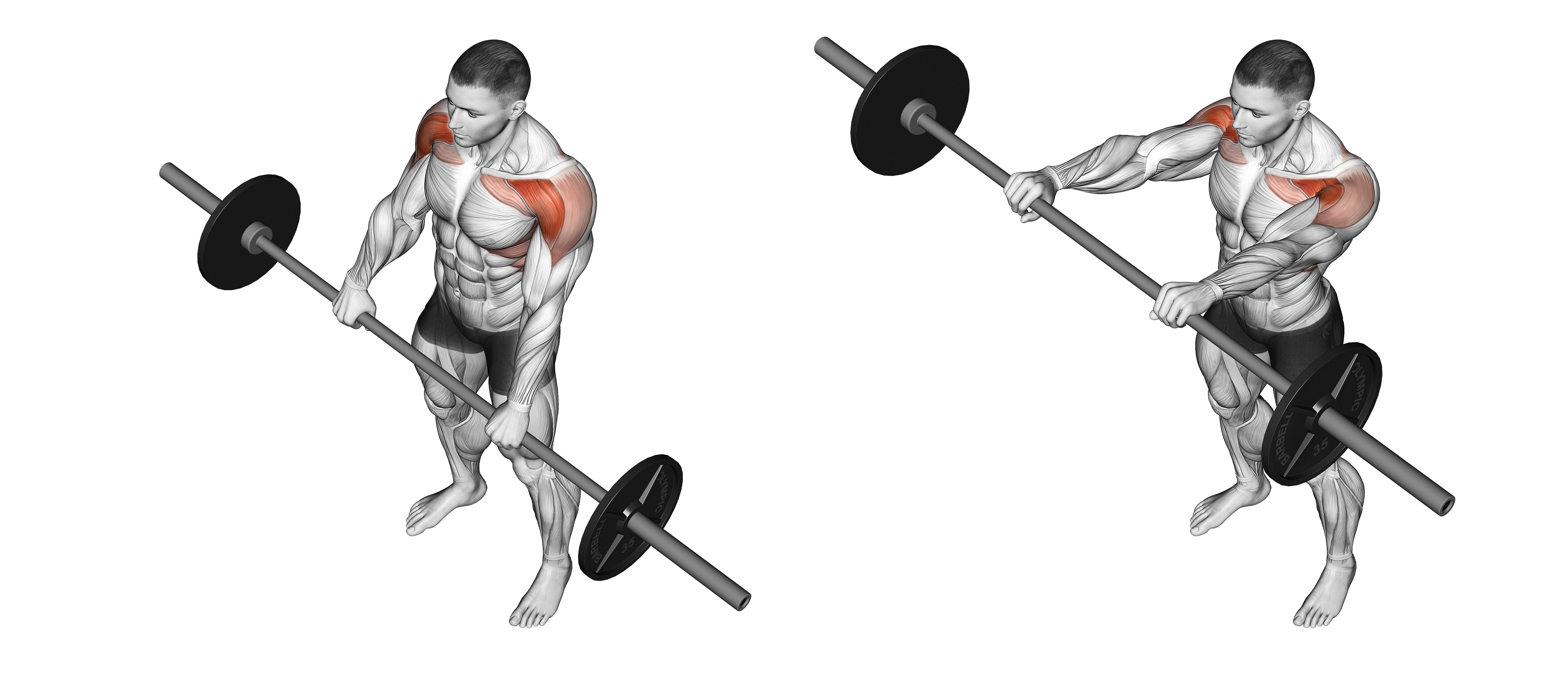 Barbell Front Raise