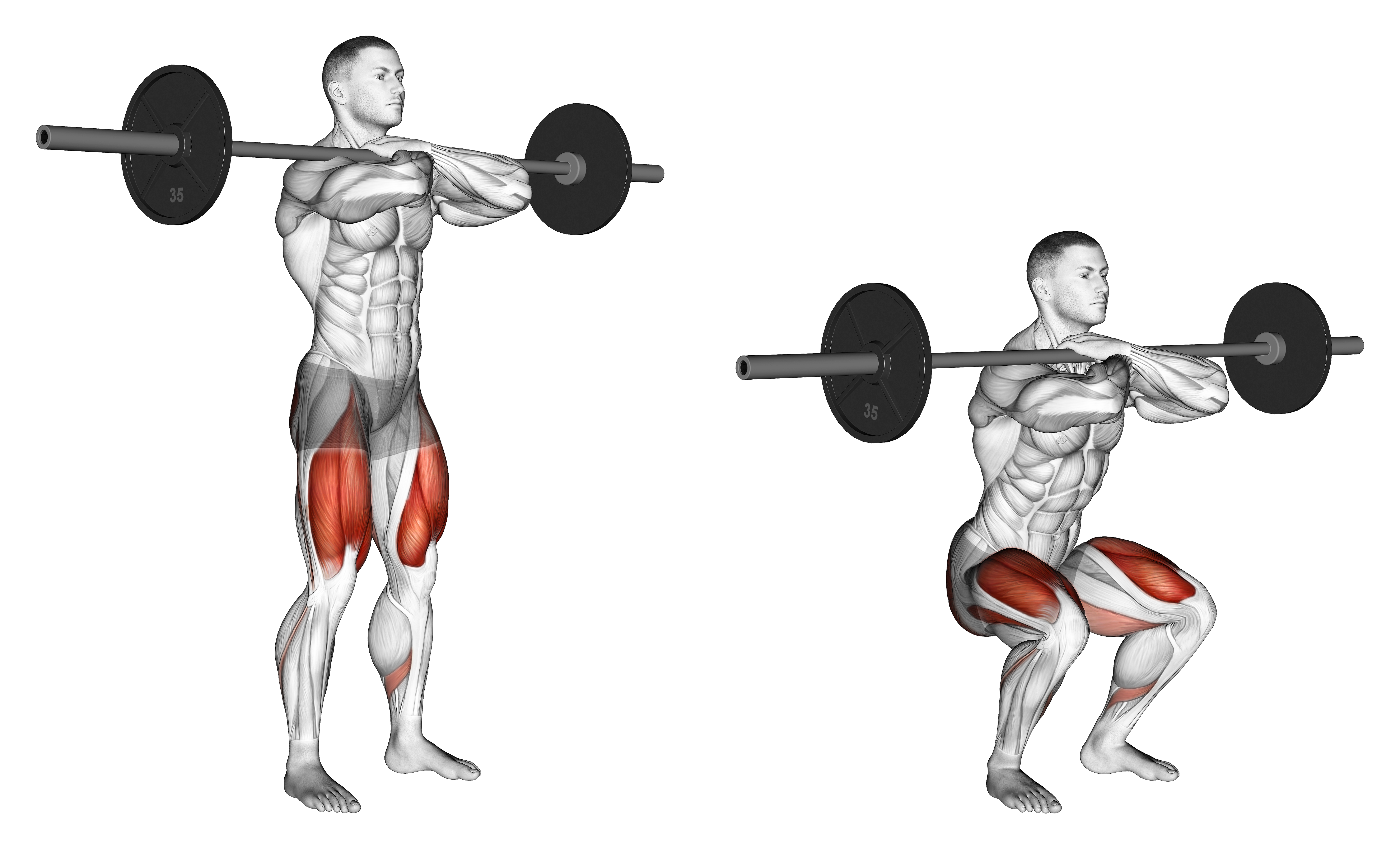 Barbell Front Squat