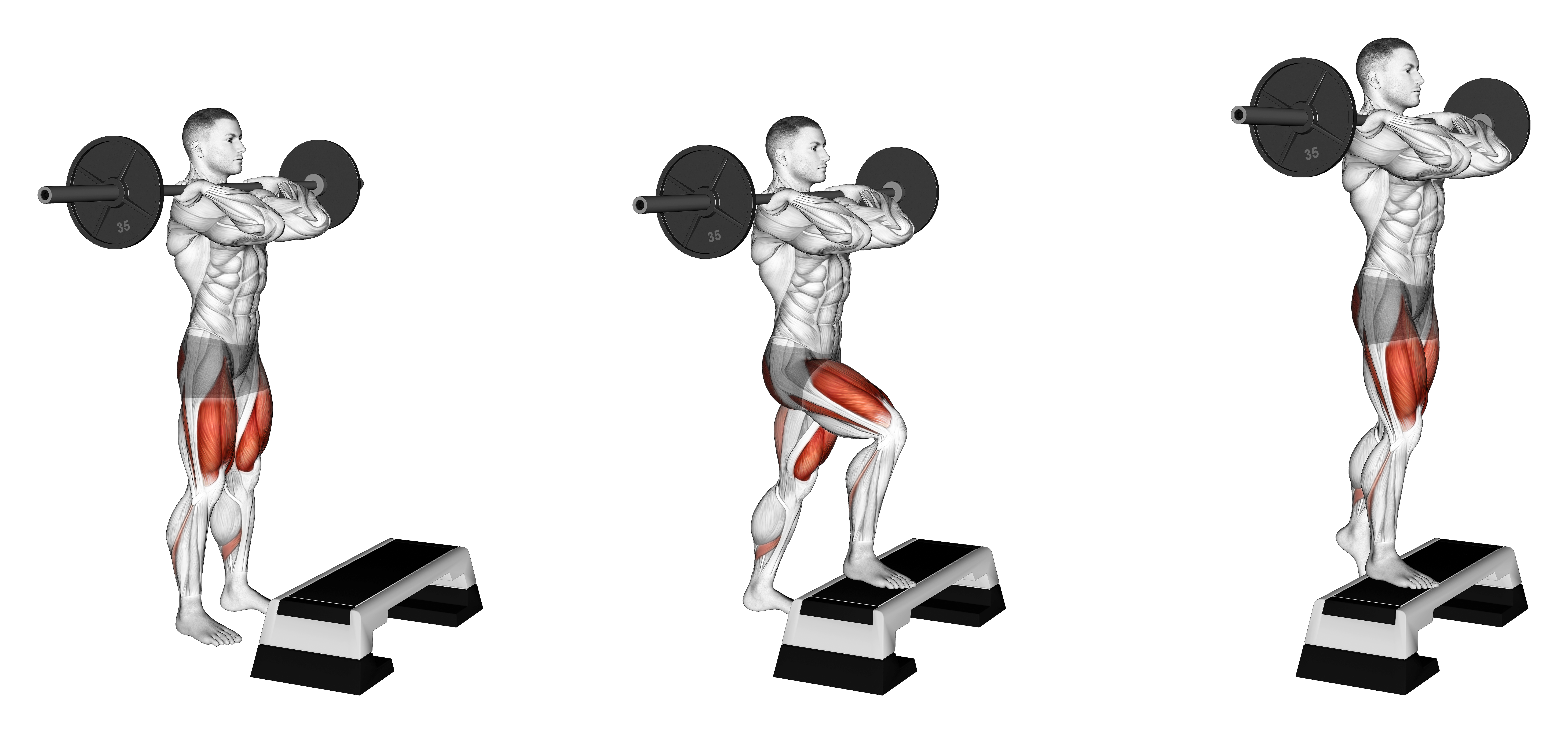 Barbell Front Step Up